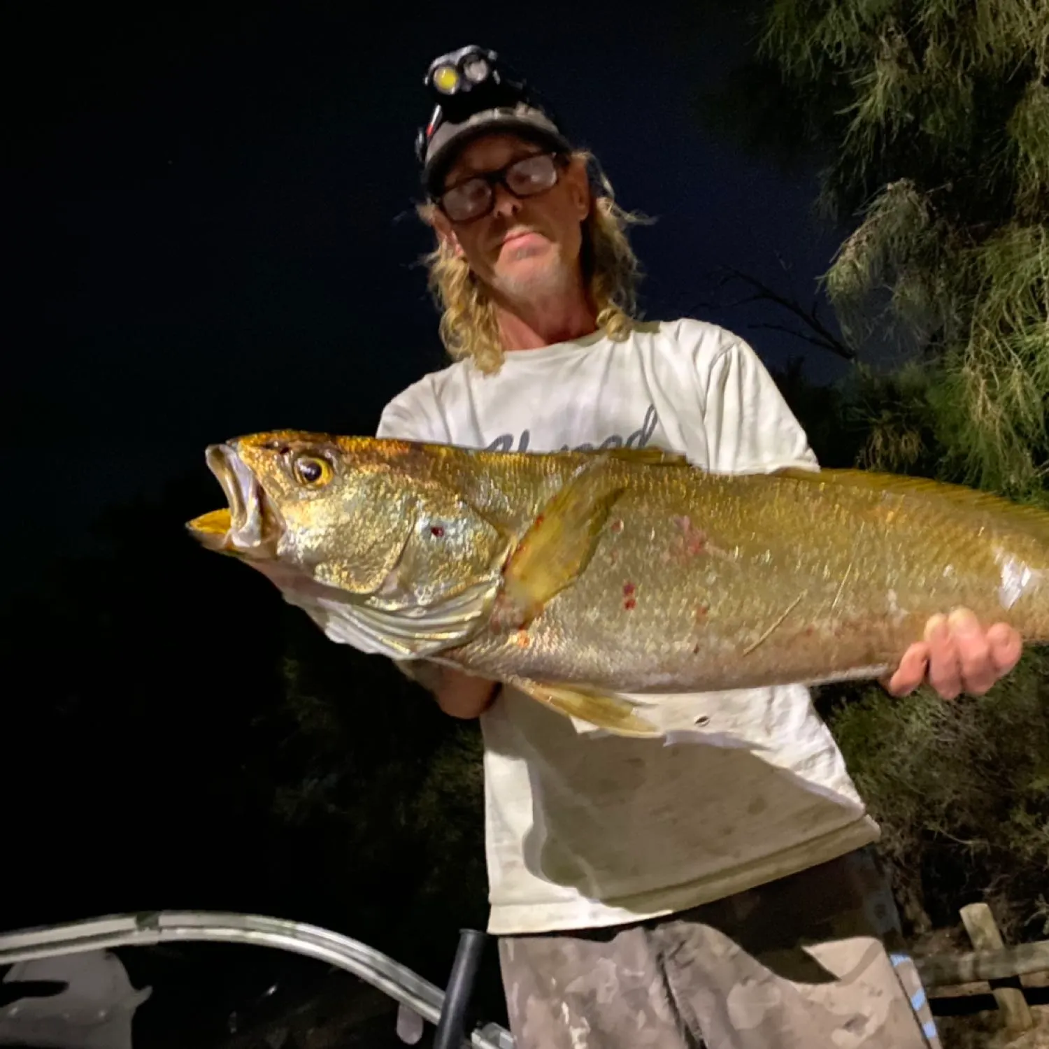 angler catch