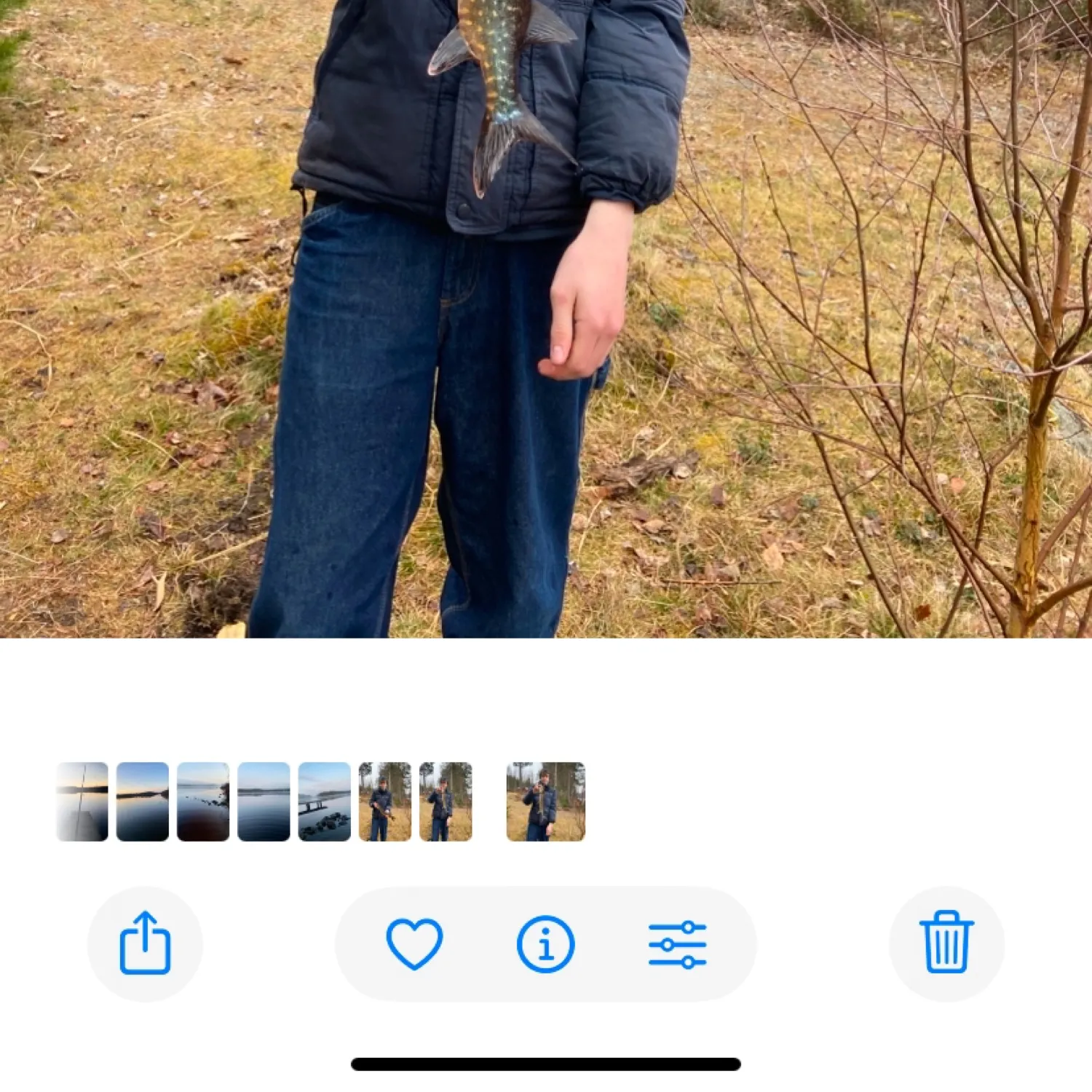 recently logged catches