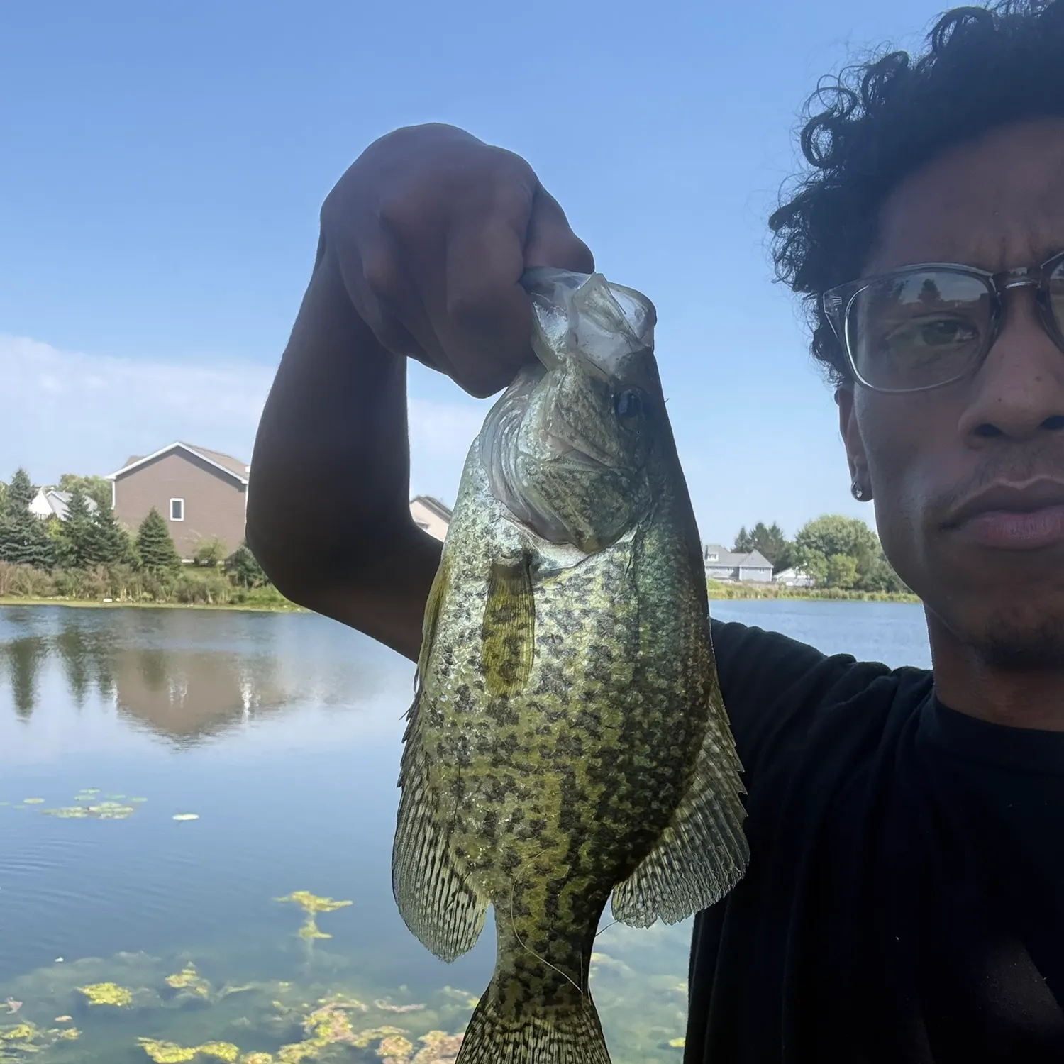Black crappie caught on Fishbrain