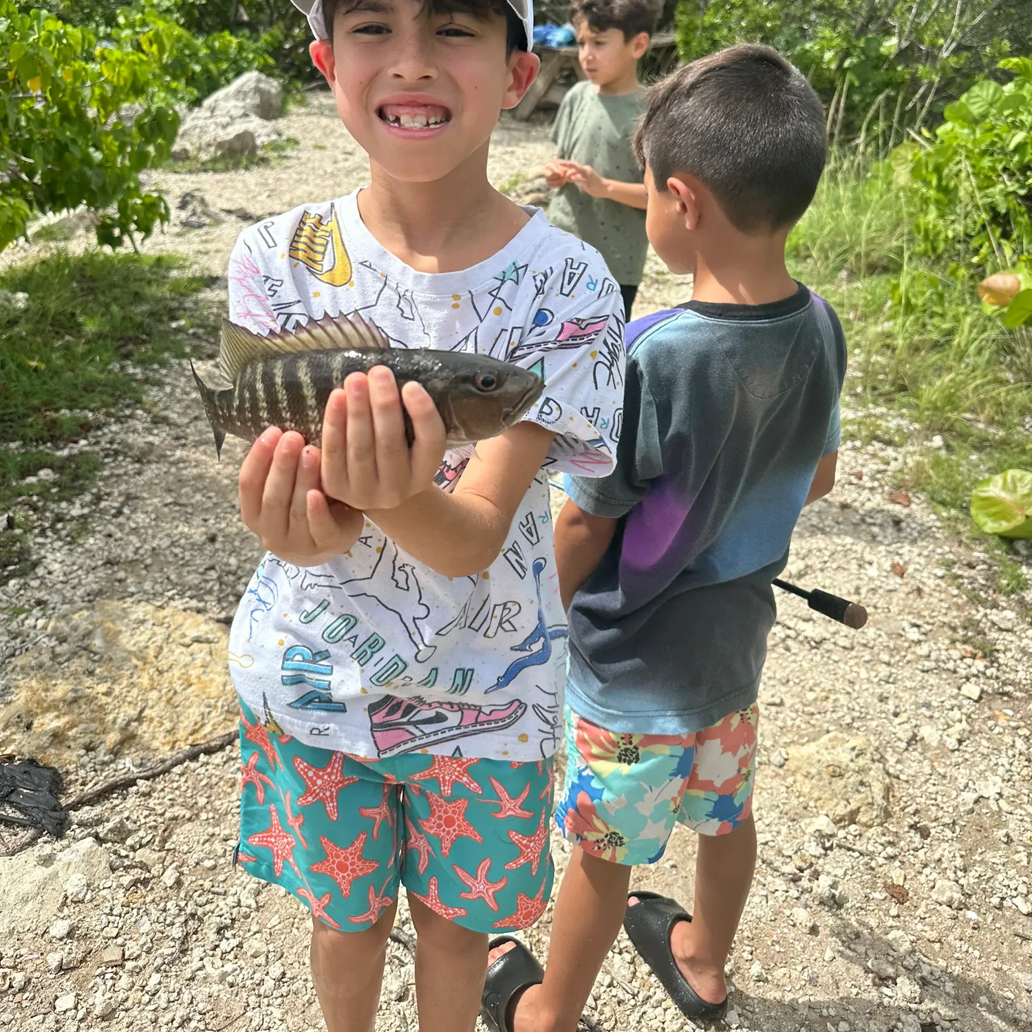 The most recent Cubera snapper catches on Fishbrain