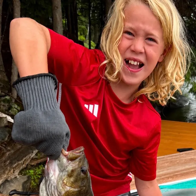 Smallmouth bass caught on Fishbrain
