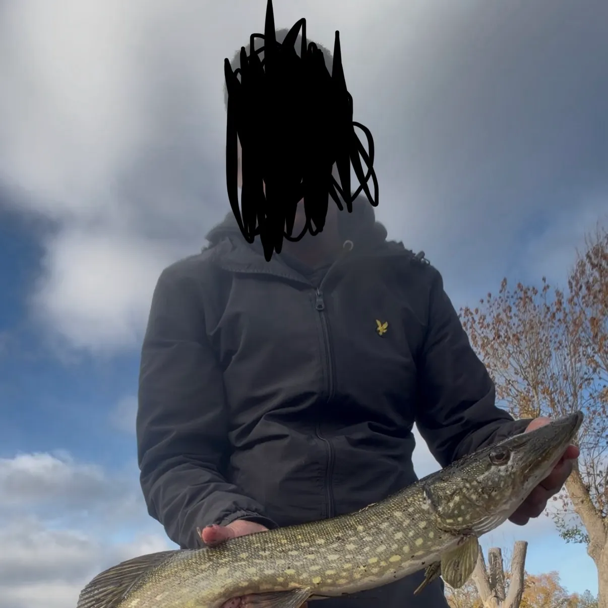Northern pike caught on Fishbrain