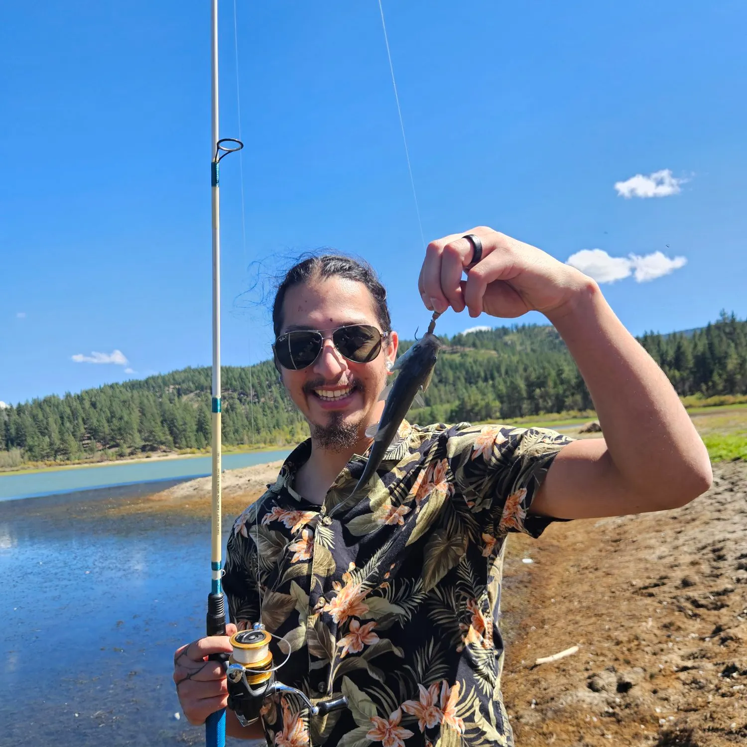 Tui chub caught on Fishbrain