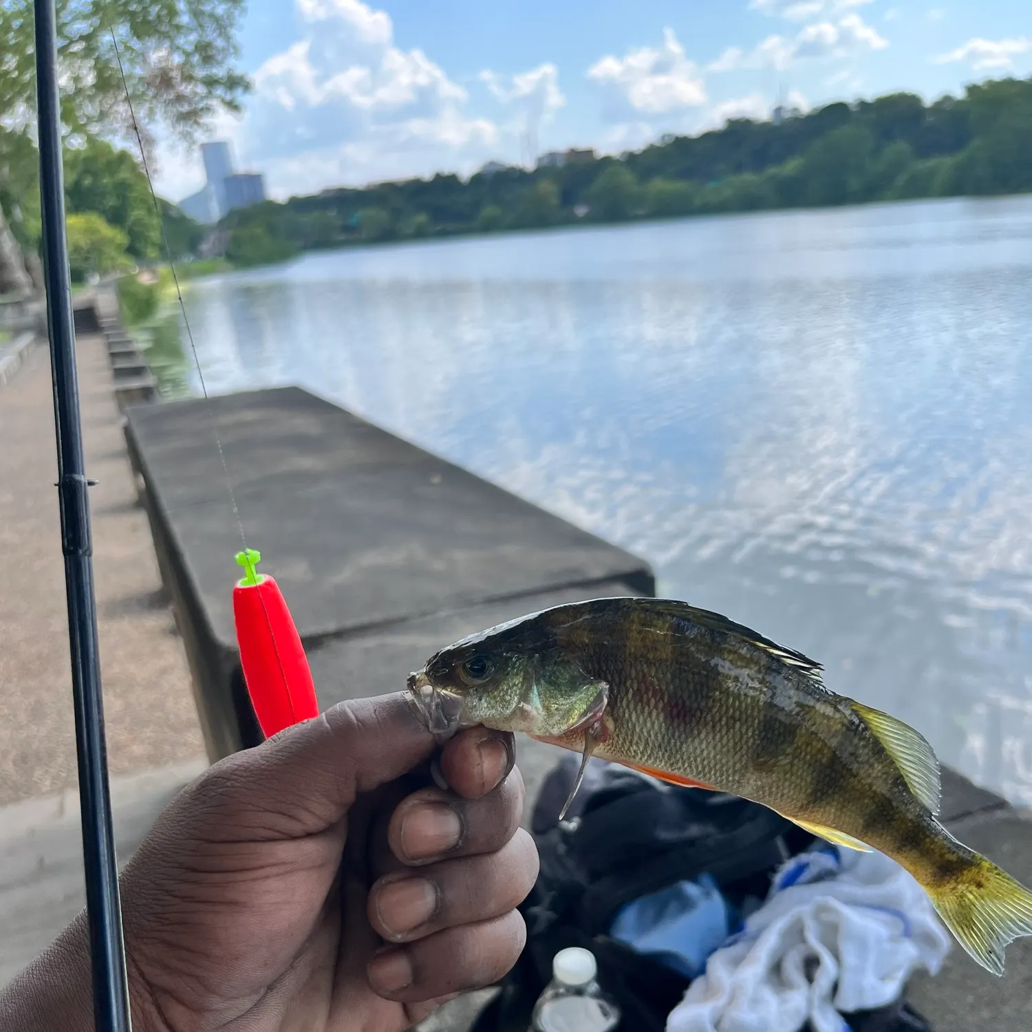 catch