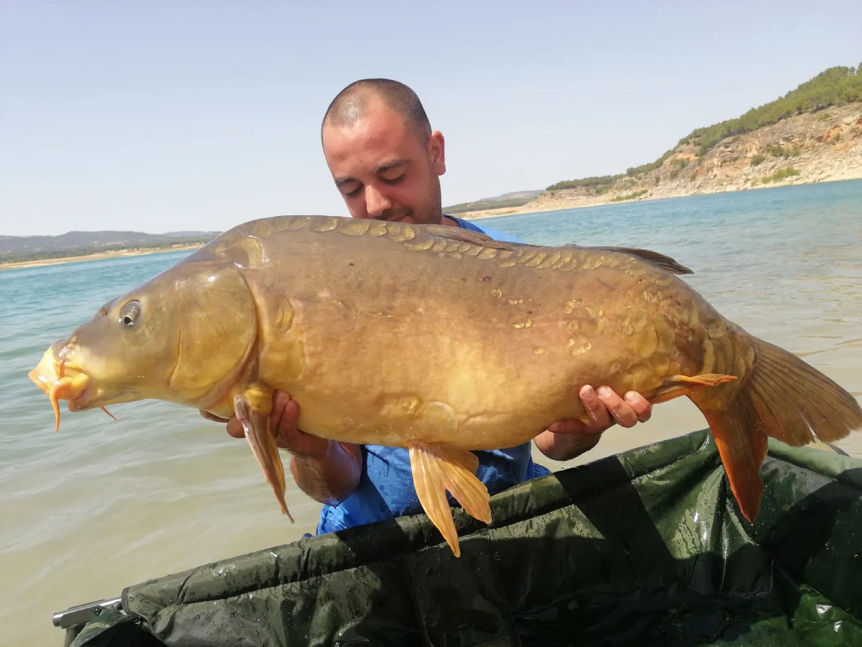 Post image from aperez8411