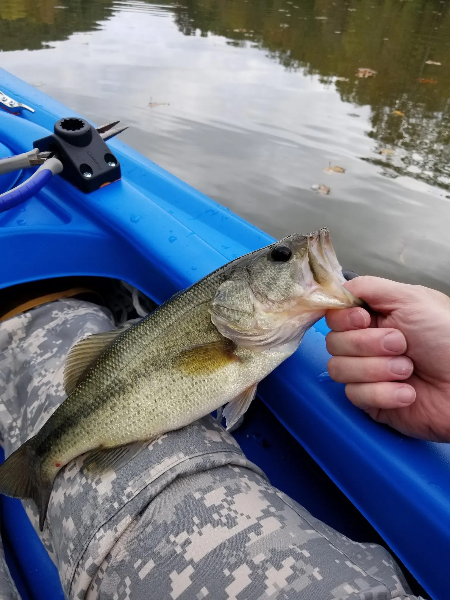 Post image from KayakSoldier