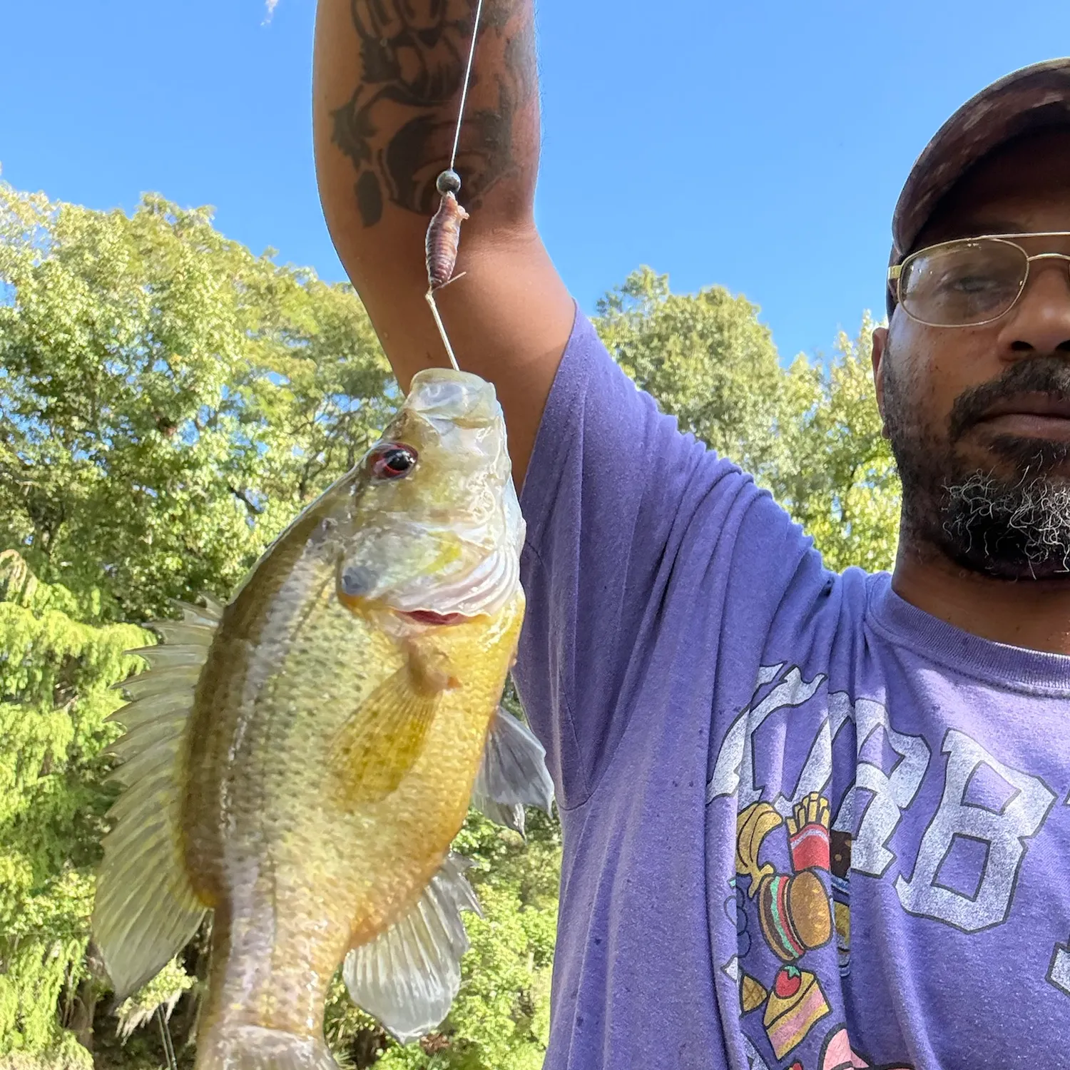 Black crappie caught on Fishbrain