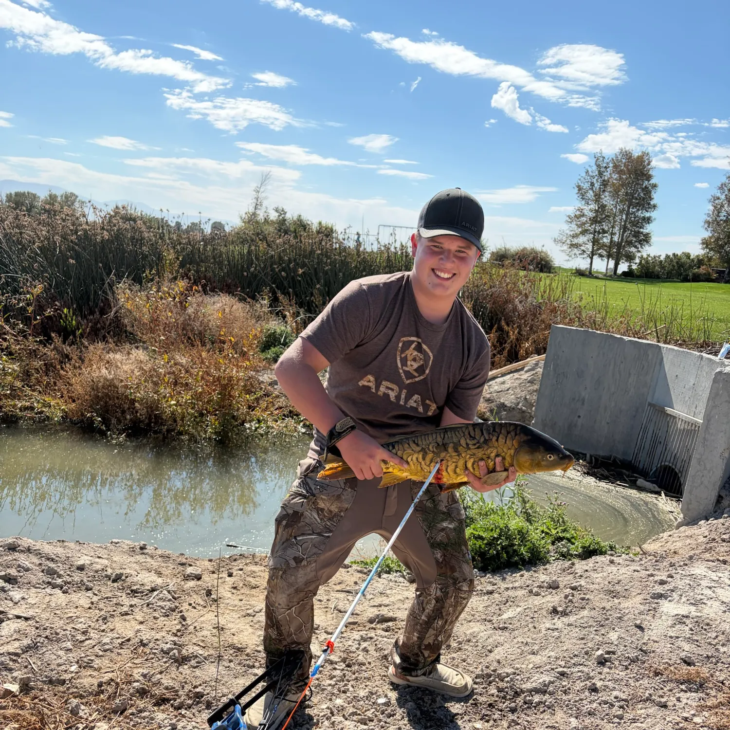 Mirror carp caught on Fishbrain