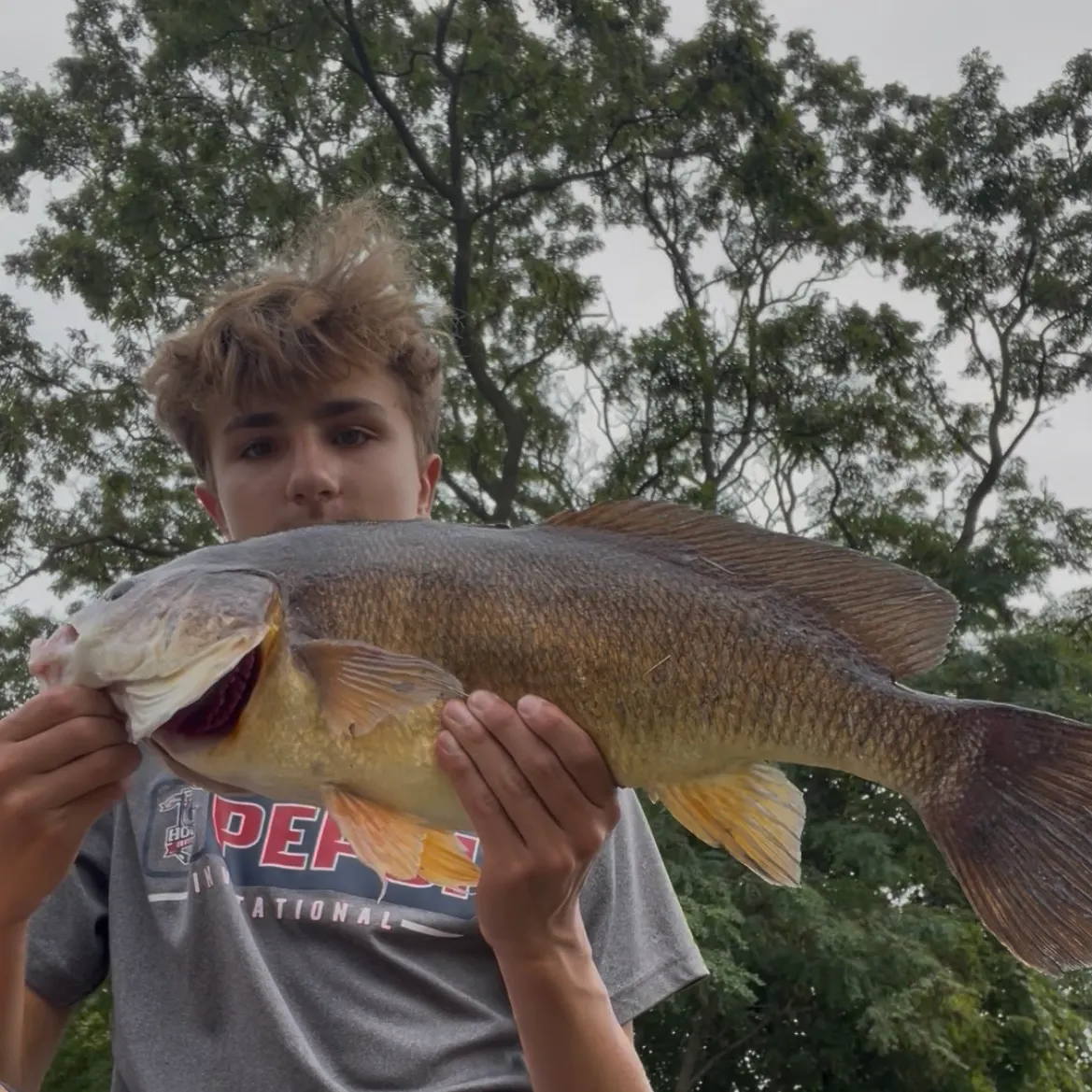 Freshwater drum caught on Fishbrain