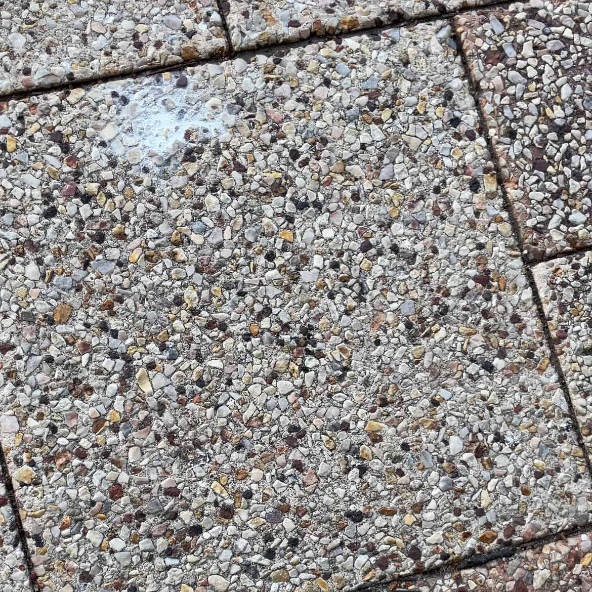 The most recent Yellowtail Grunter catches on Fishbrain