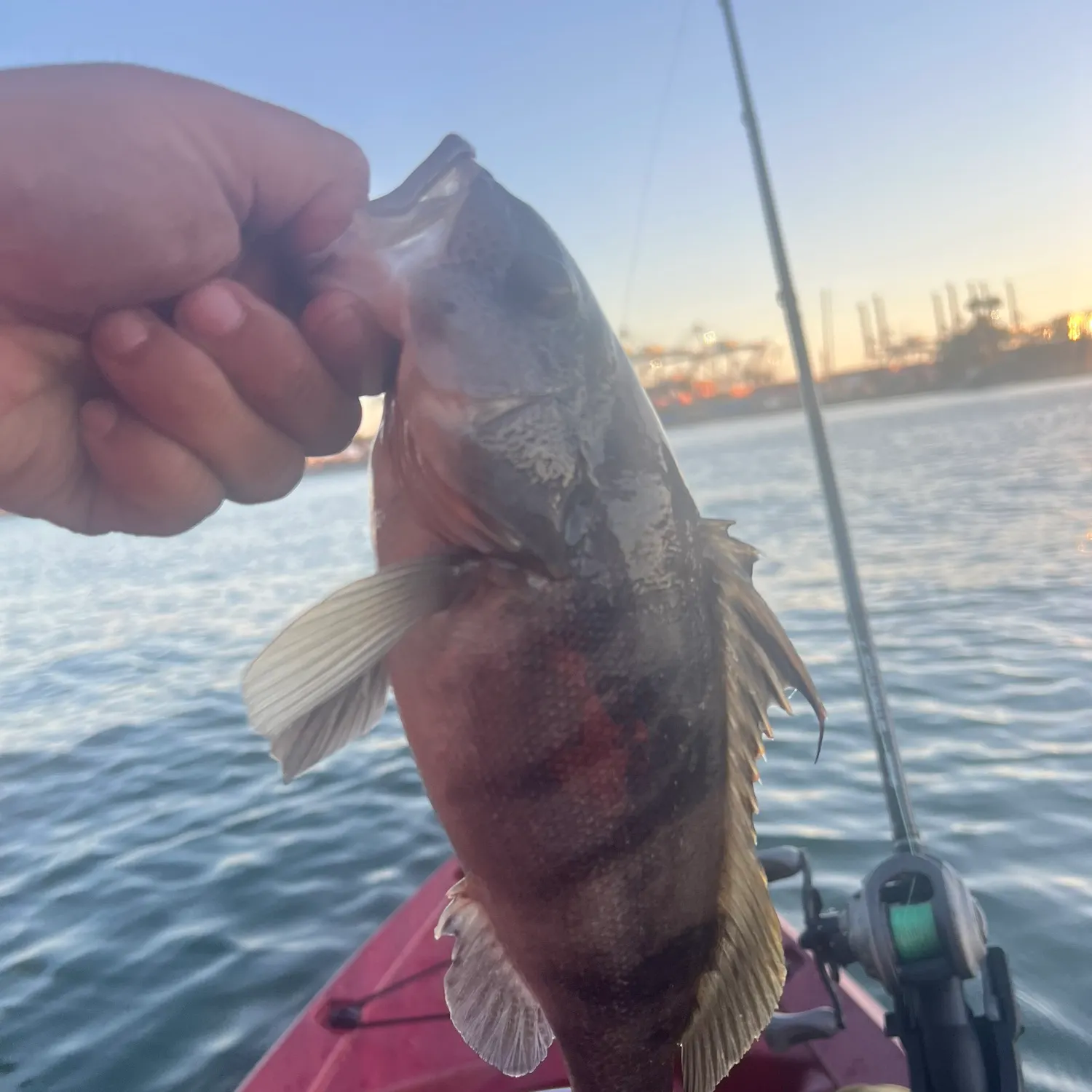 catch