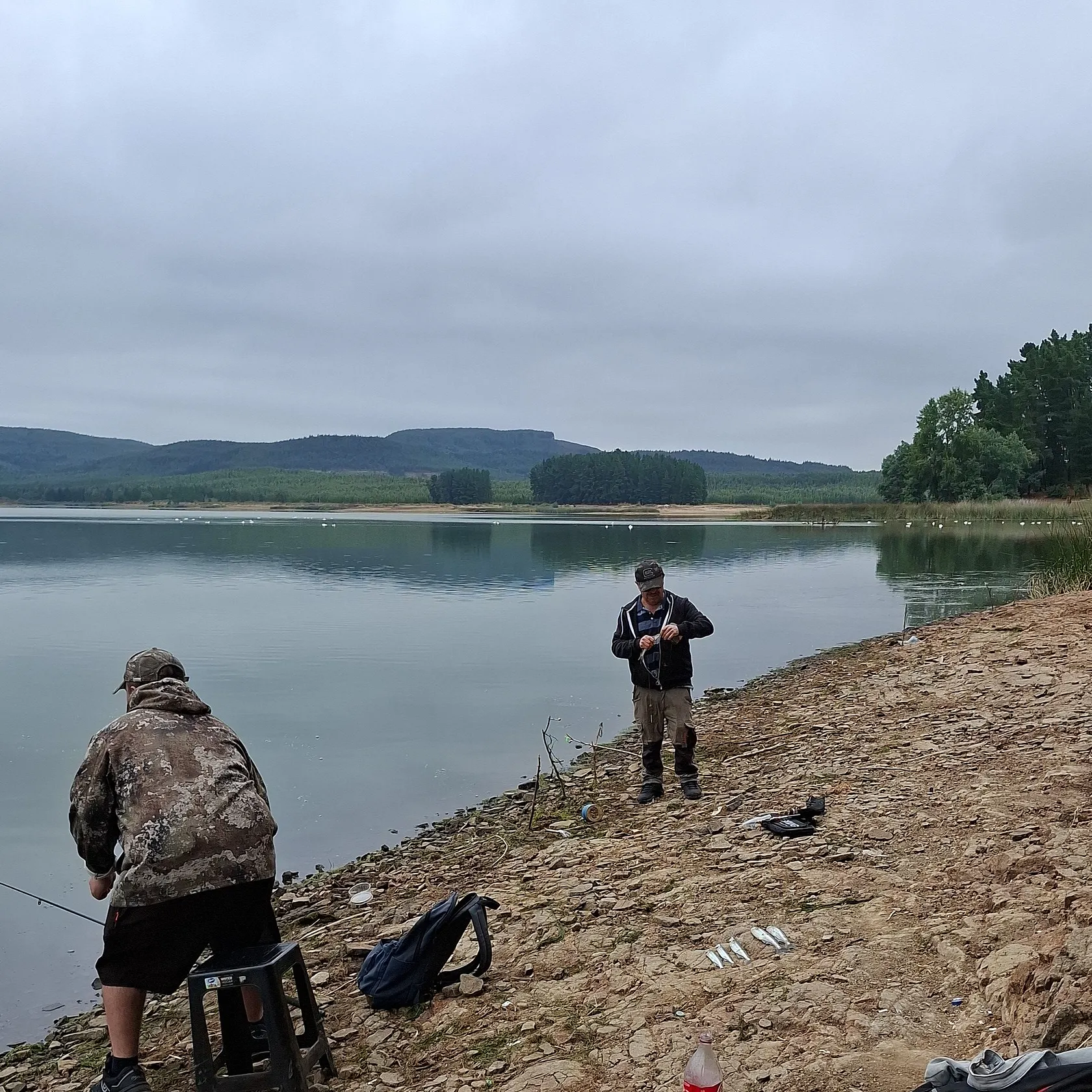 The most recent Argentinian silverside catches on Fishbrain