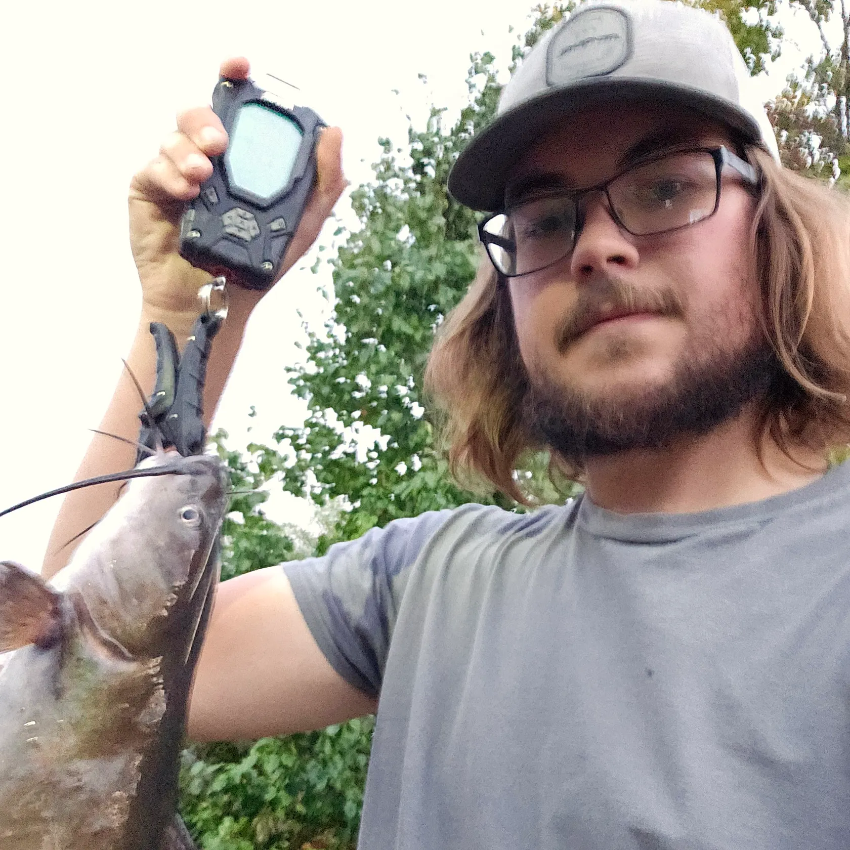 Channel catfish caught on Fishbrain