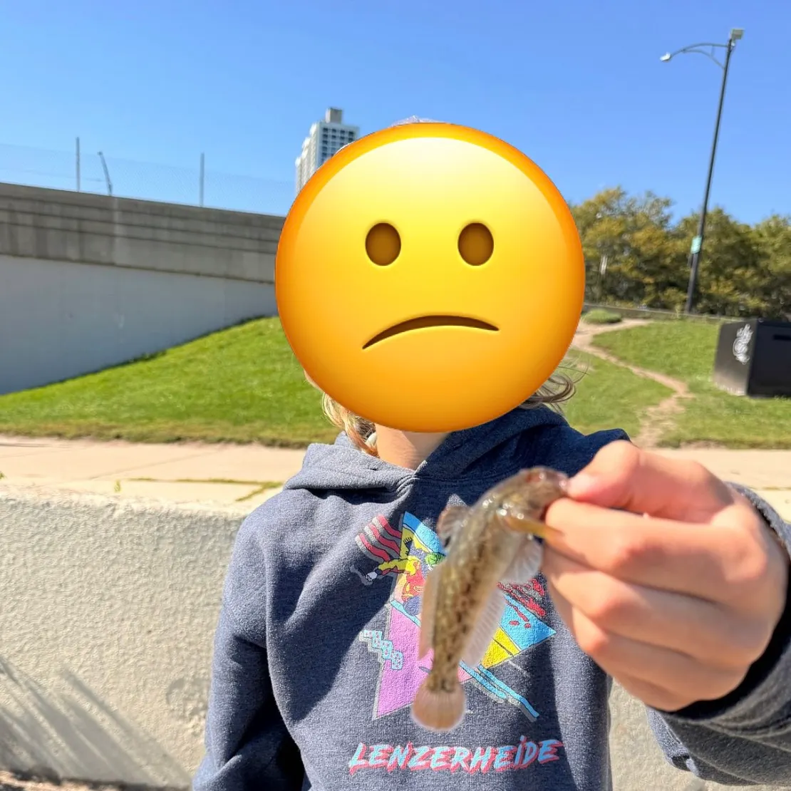 Round goby caught on Fishbrain