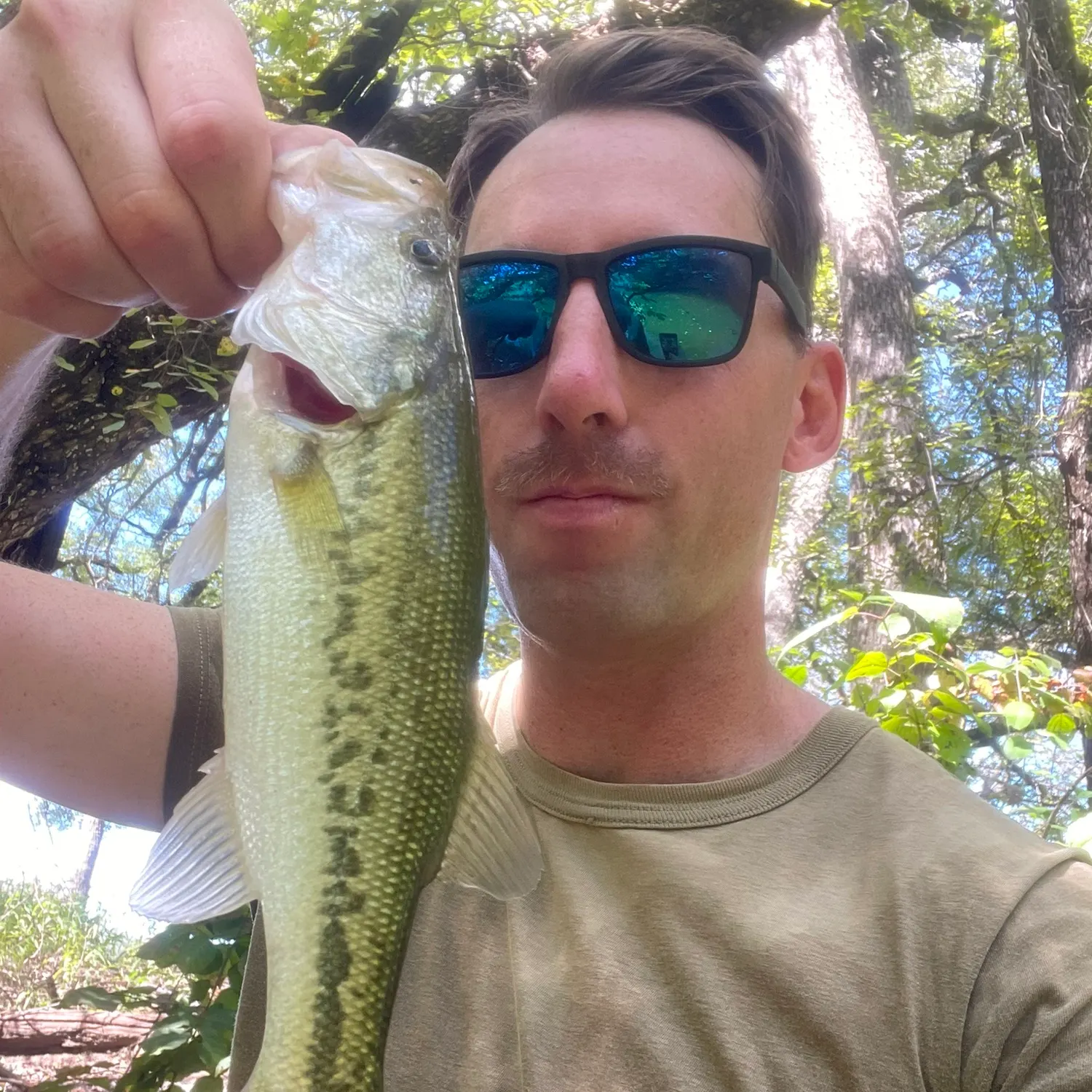 Largemouth bass caught on Fishbrain