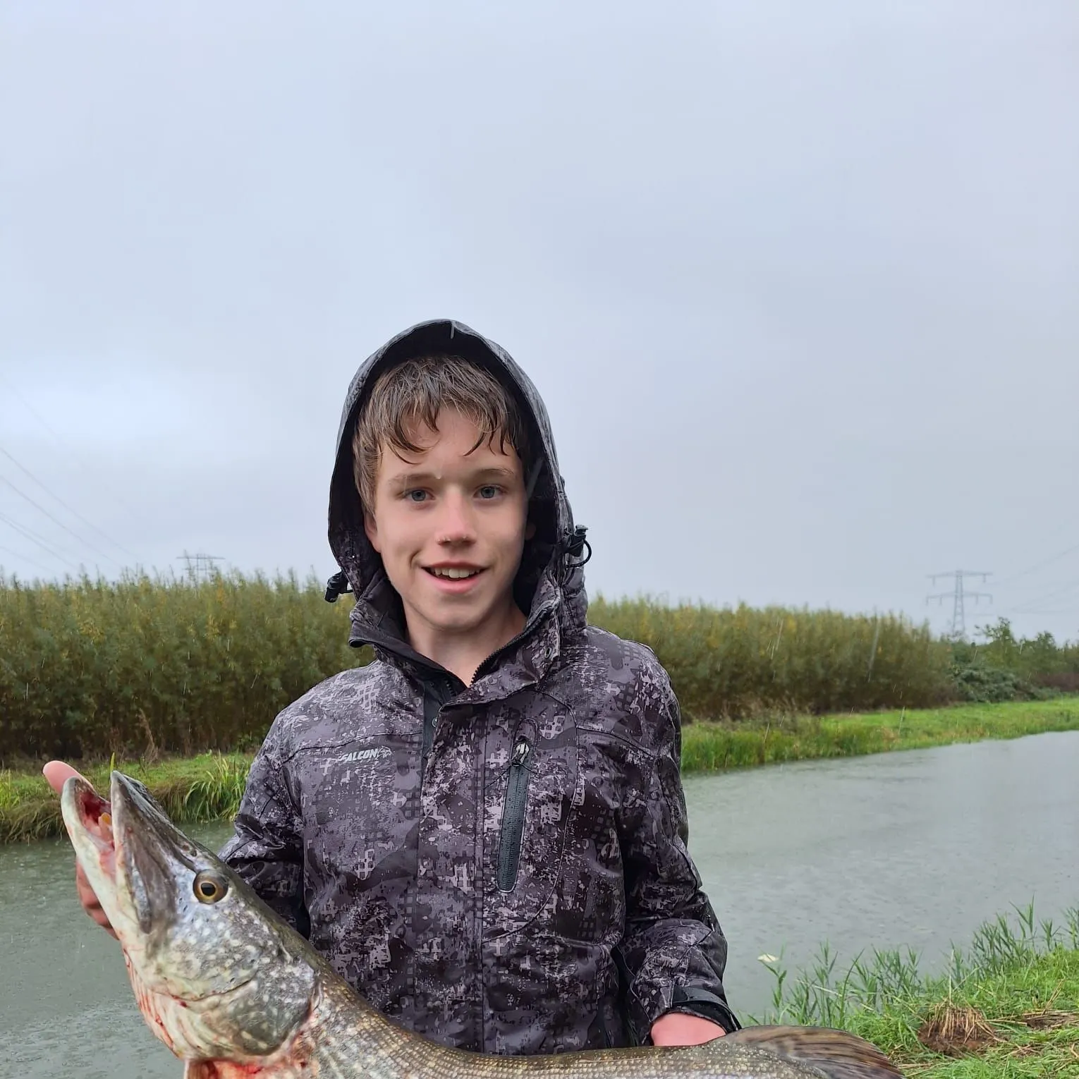 Northern pike caught on Fishbrain