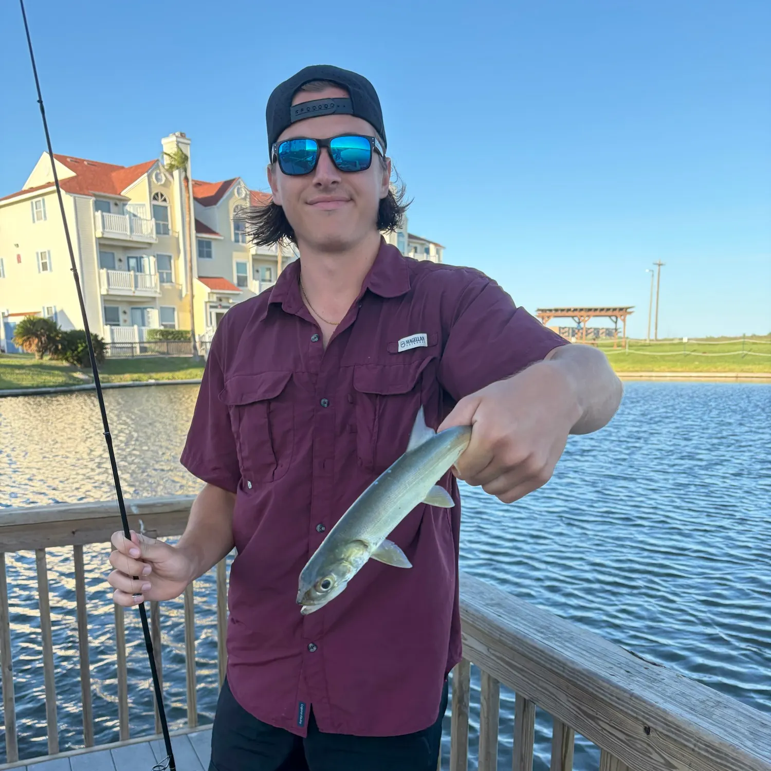 Ladyfish caught on Fishbrain