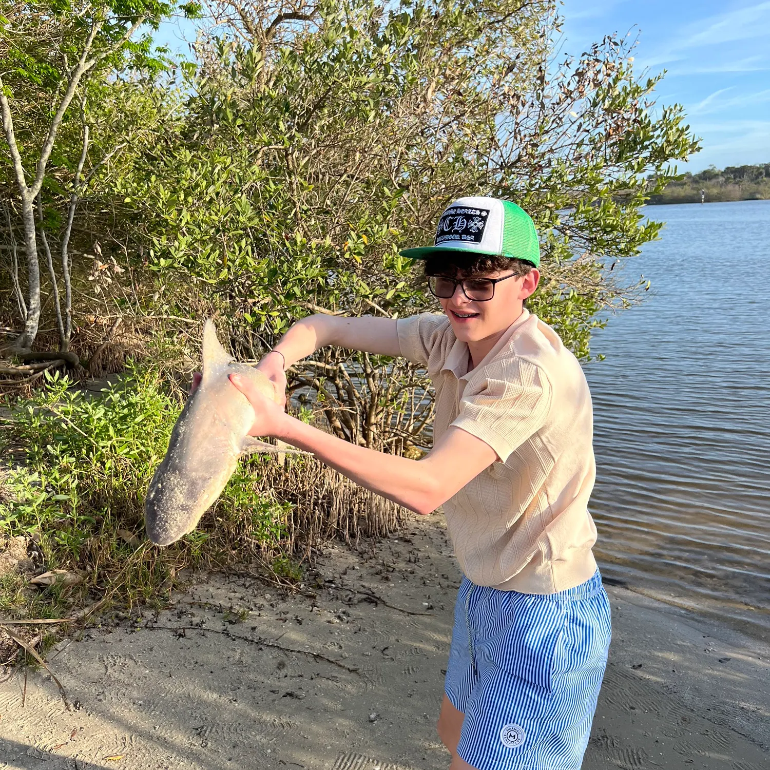 The most recent Bonnethead shark catches on Fishbrain