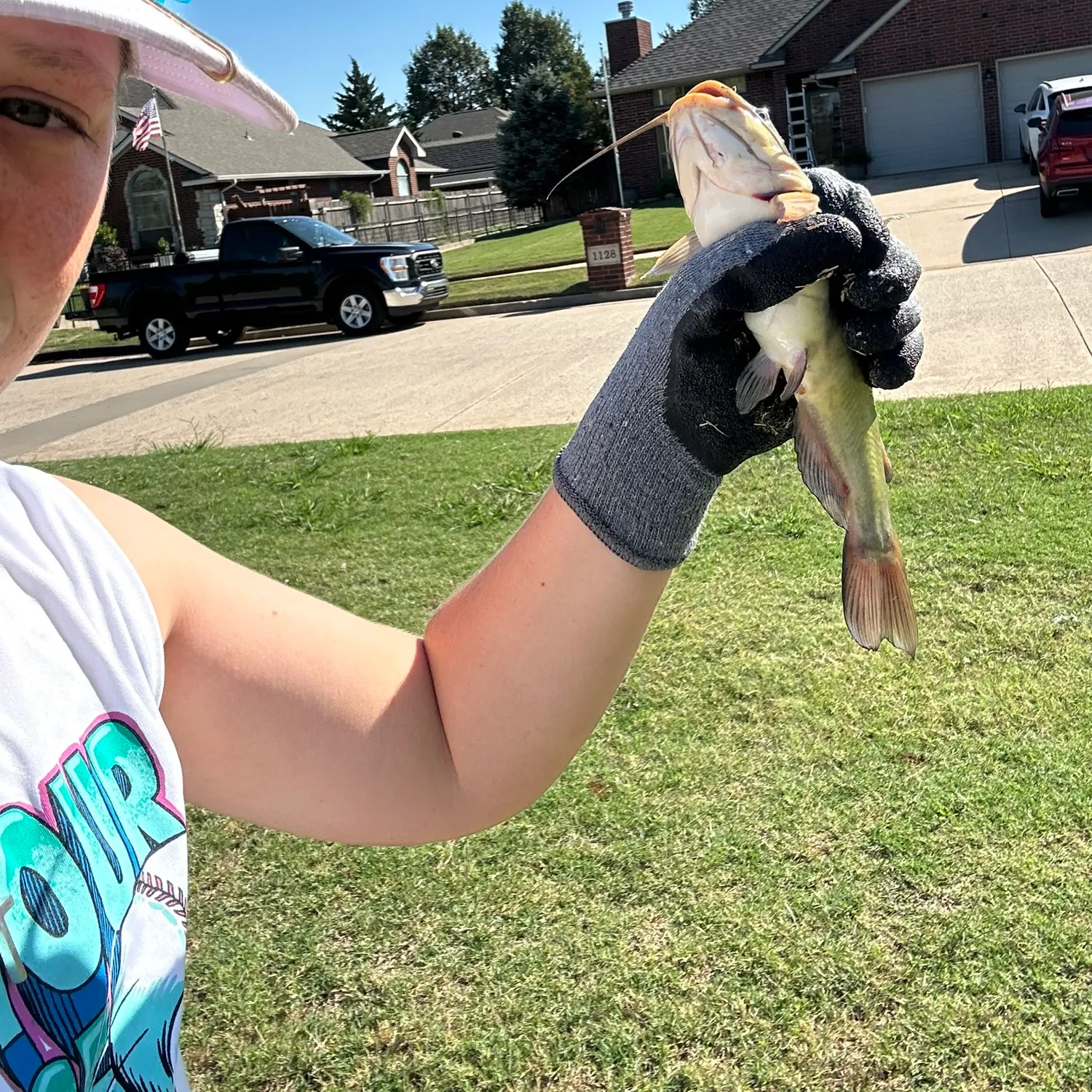 Channel catfish caught on Fishbrain