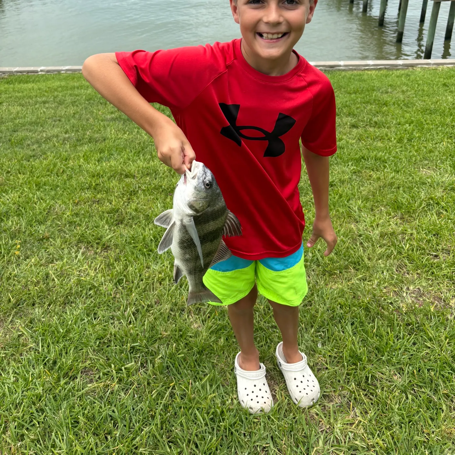 The most recent Black drum catches on Fishbrain