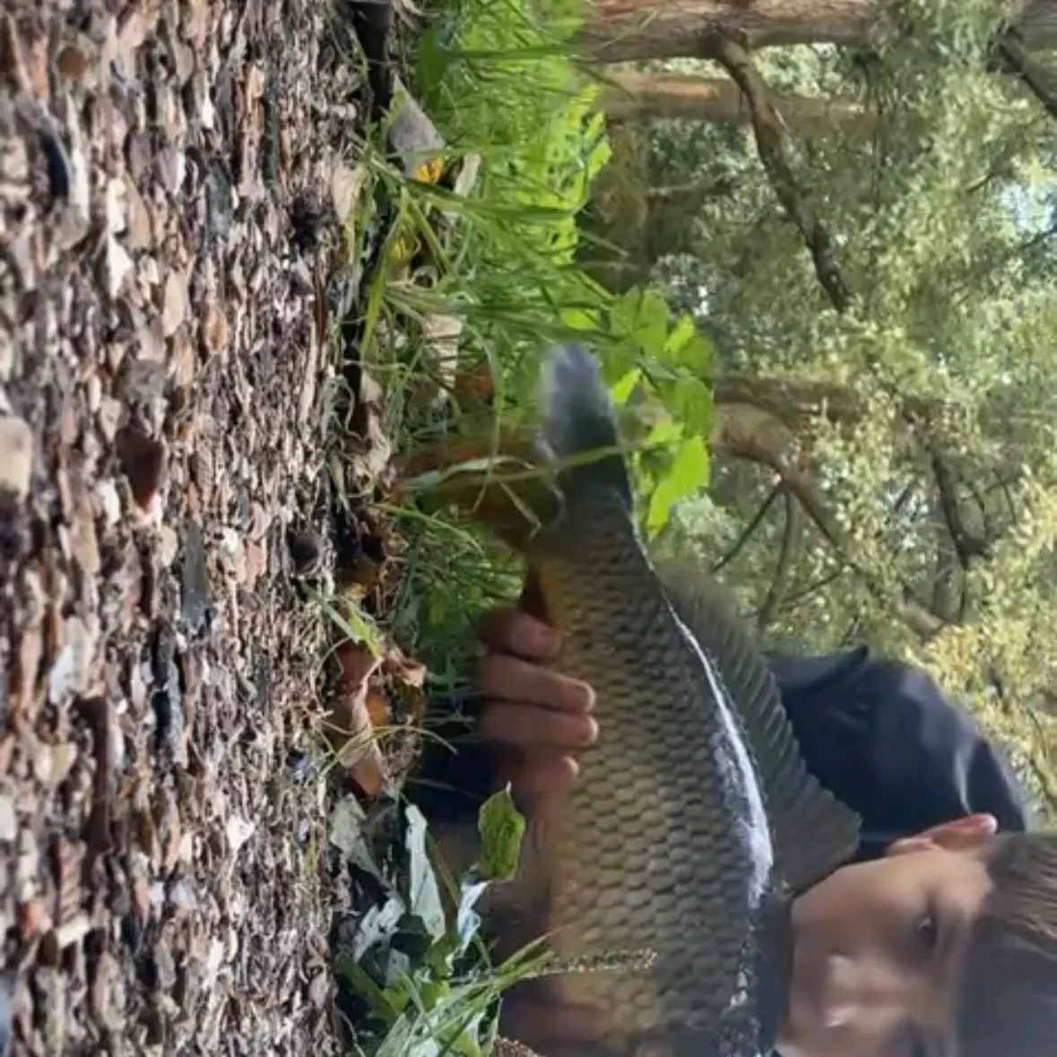 The most recent F1 carp catches on Fishbrain