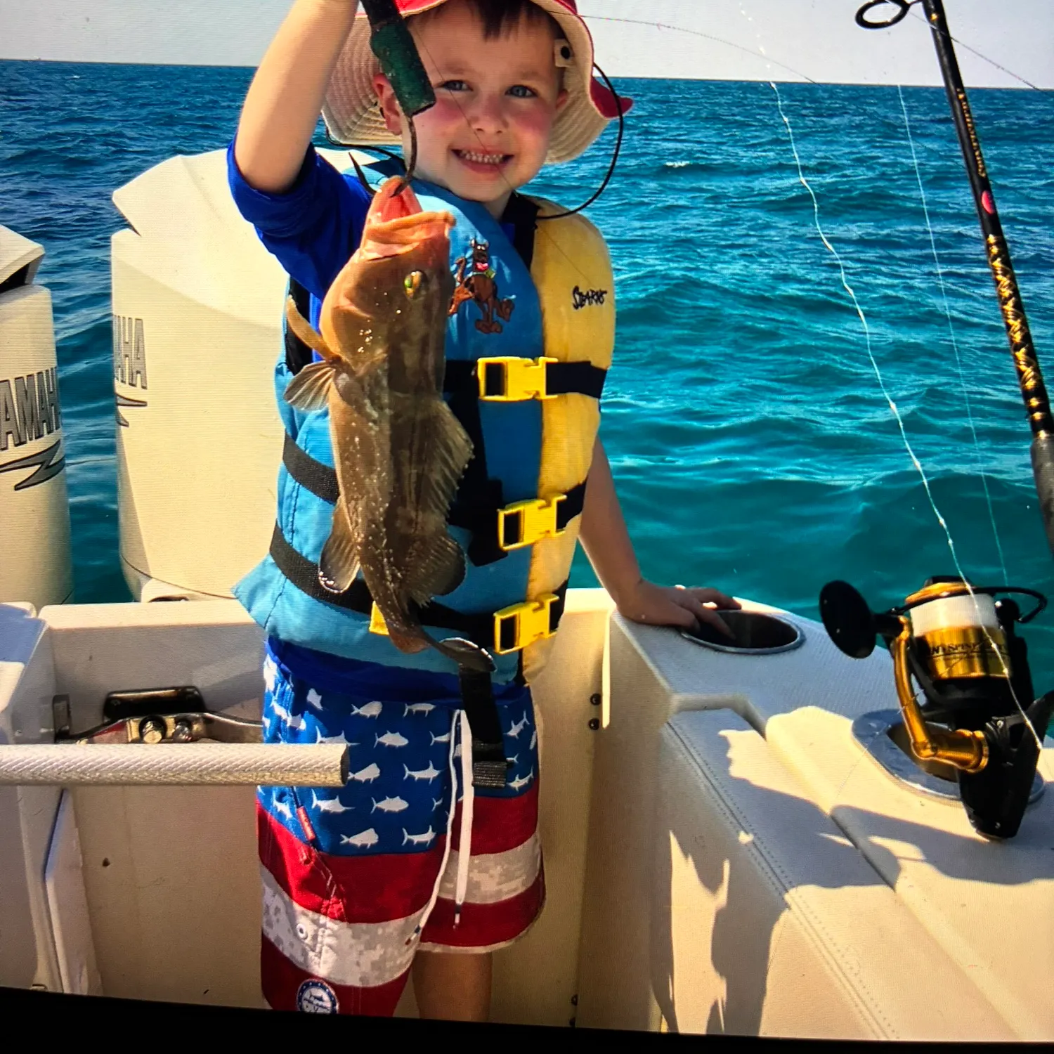 The most recent Snowy grouper catches on Fishbrain