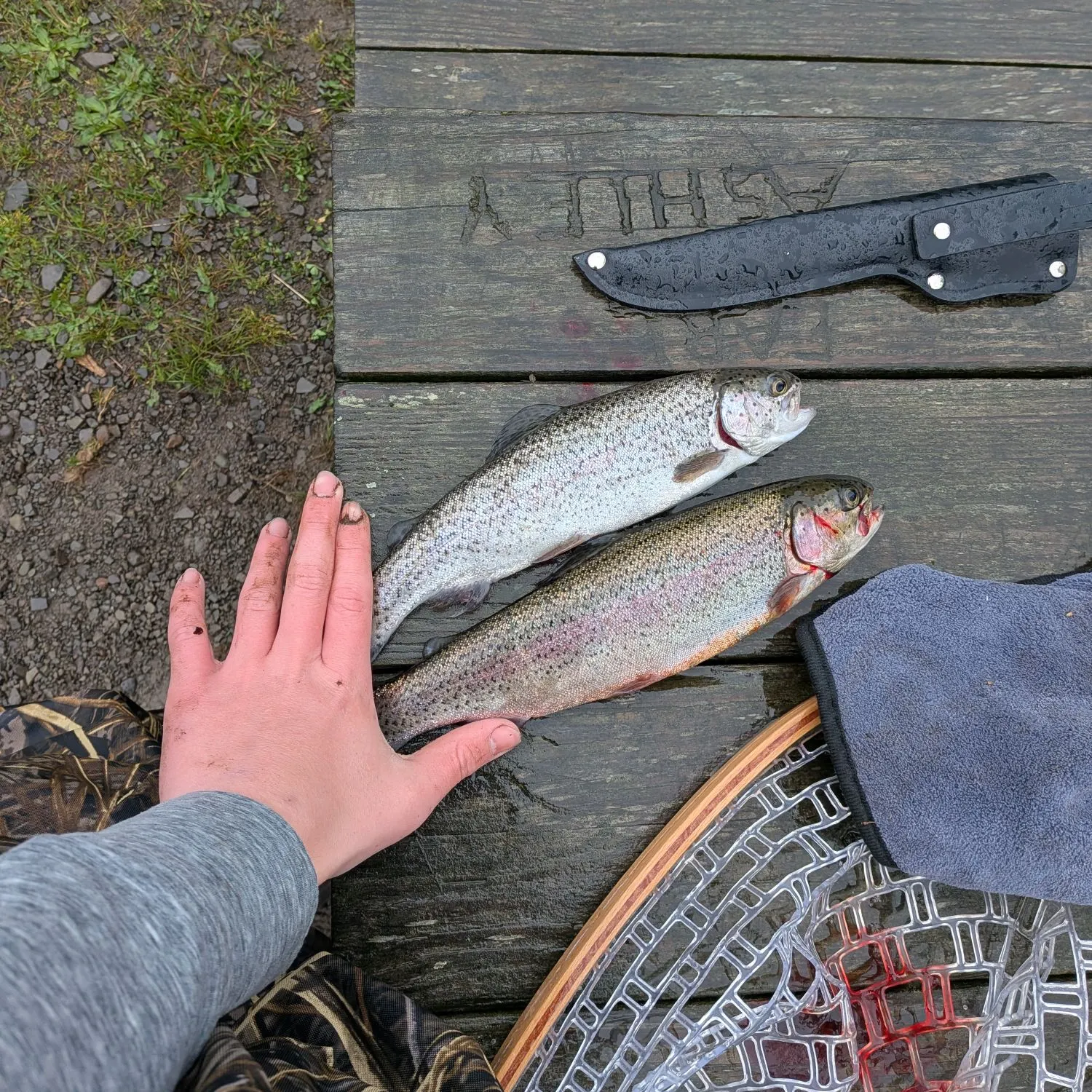recently logged catches