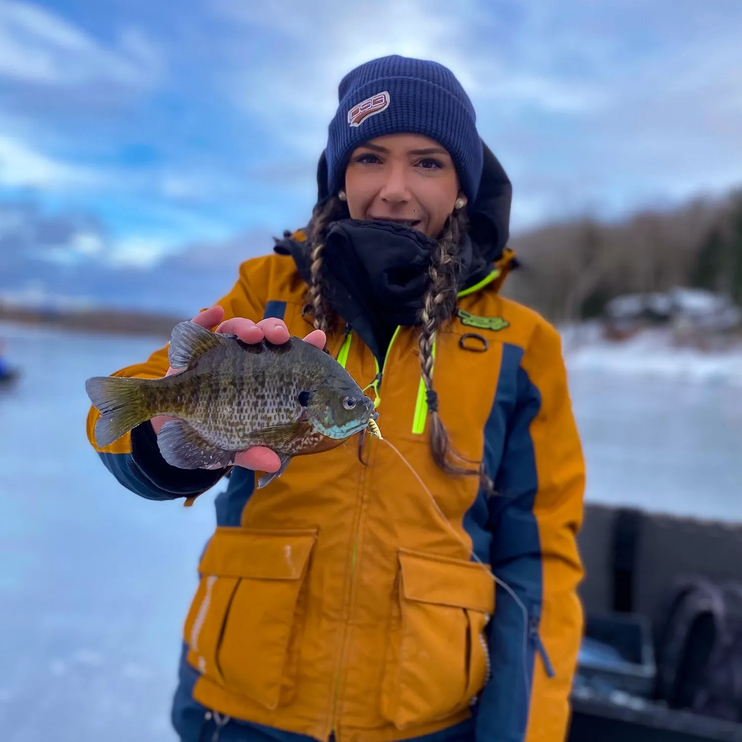 The most recent Bluegill catches on Fishbrain