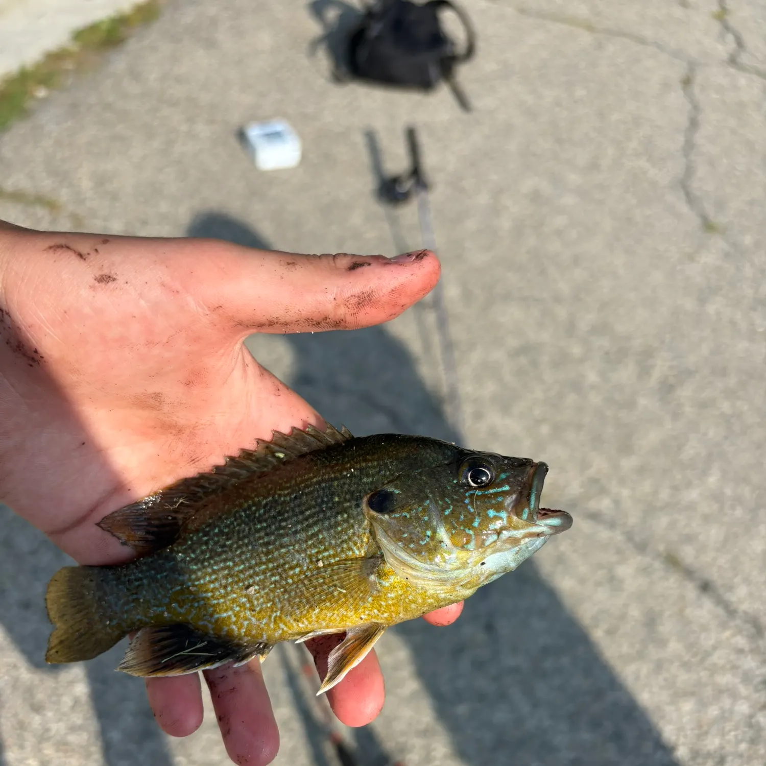 catch