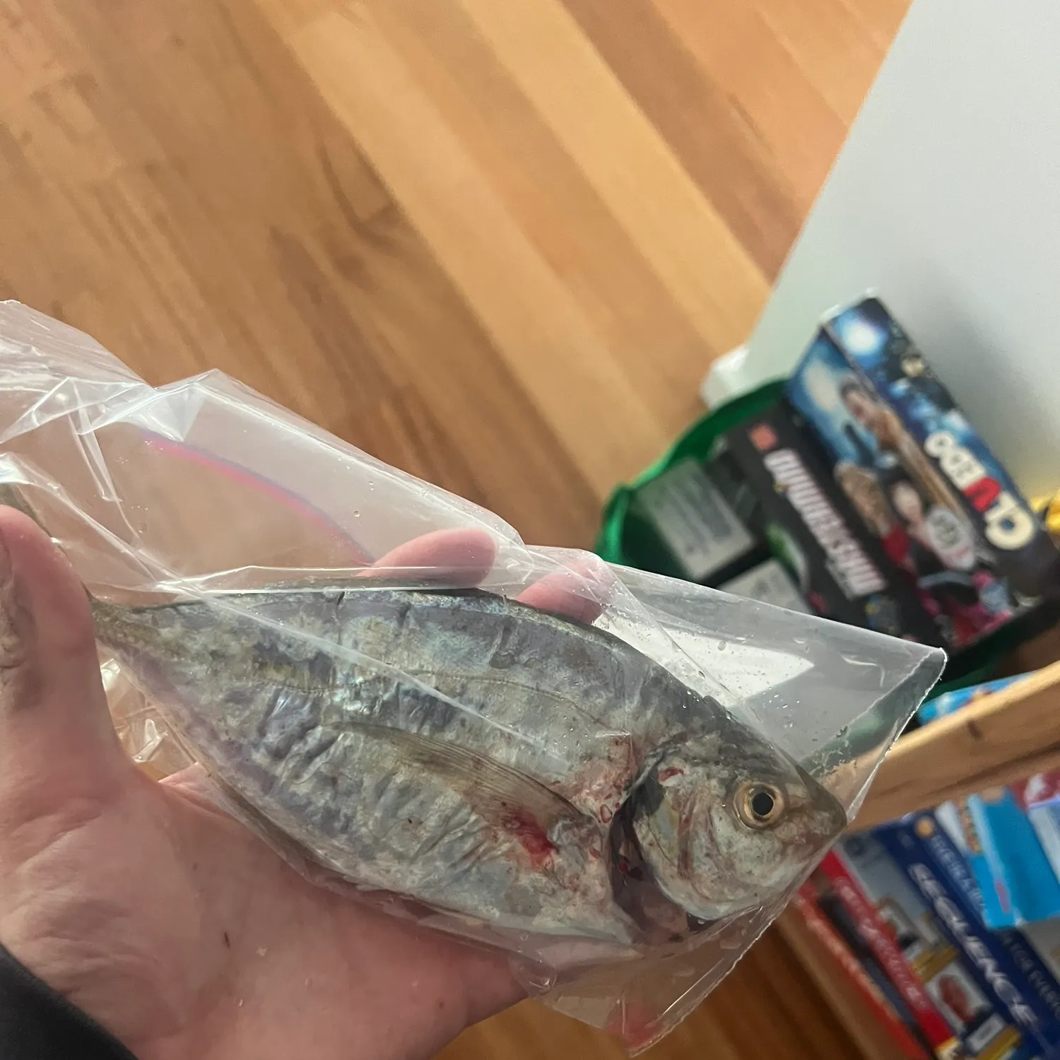 The most recent White trevally catches on Fishbrain