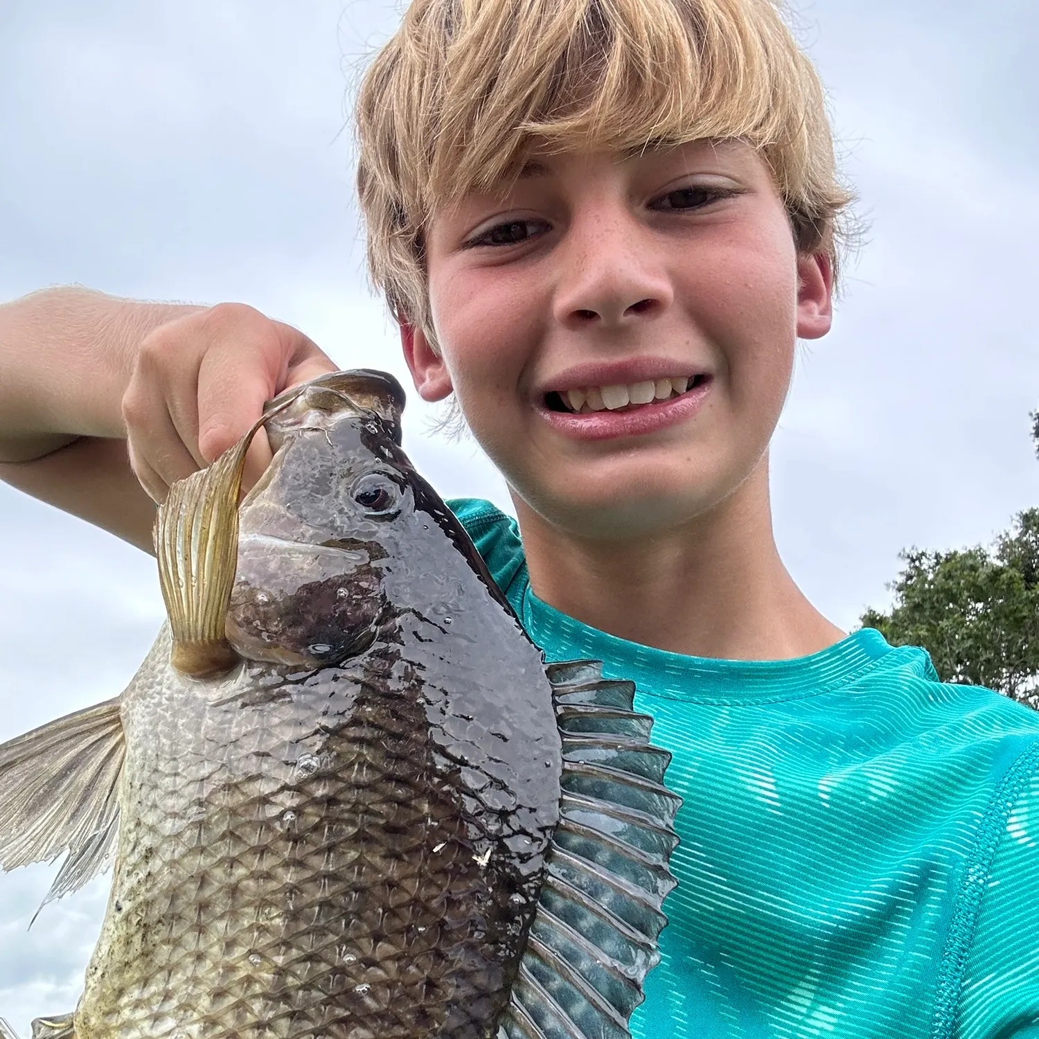 The most recent Nile tilapia catches on Fishbrain