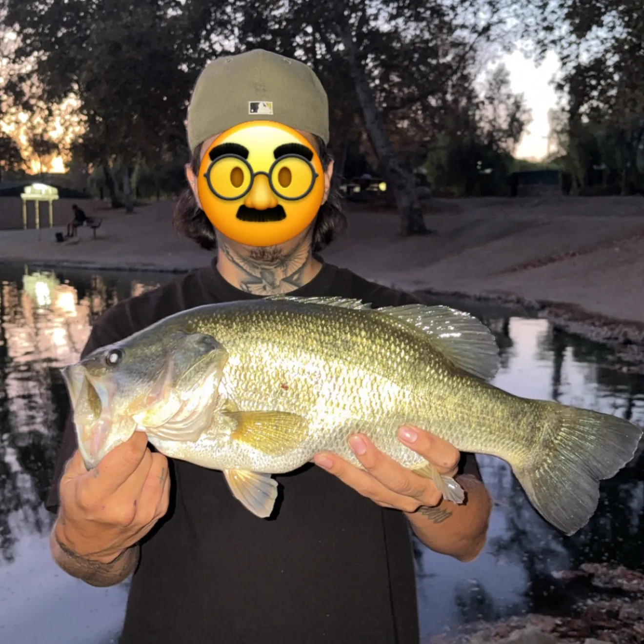 Largemouth bass caught on Fishbrain
