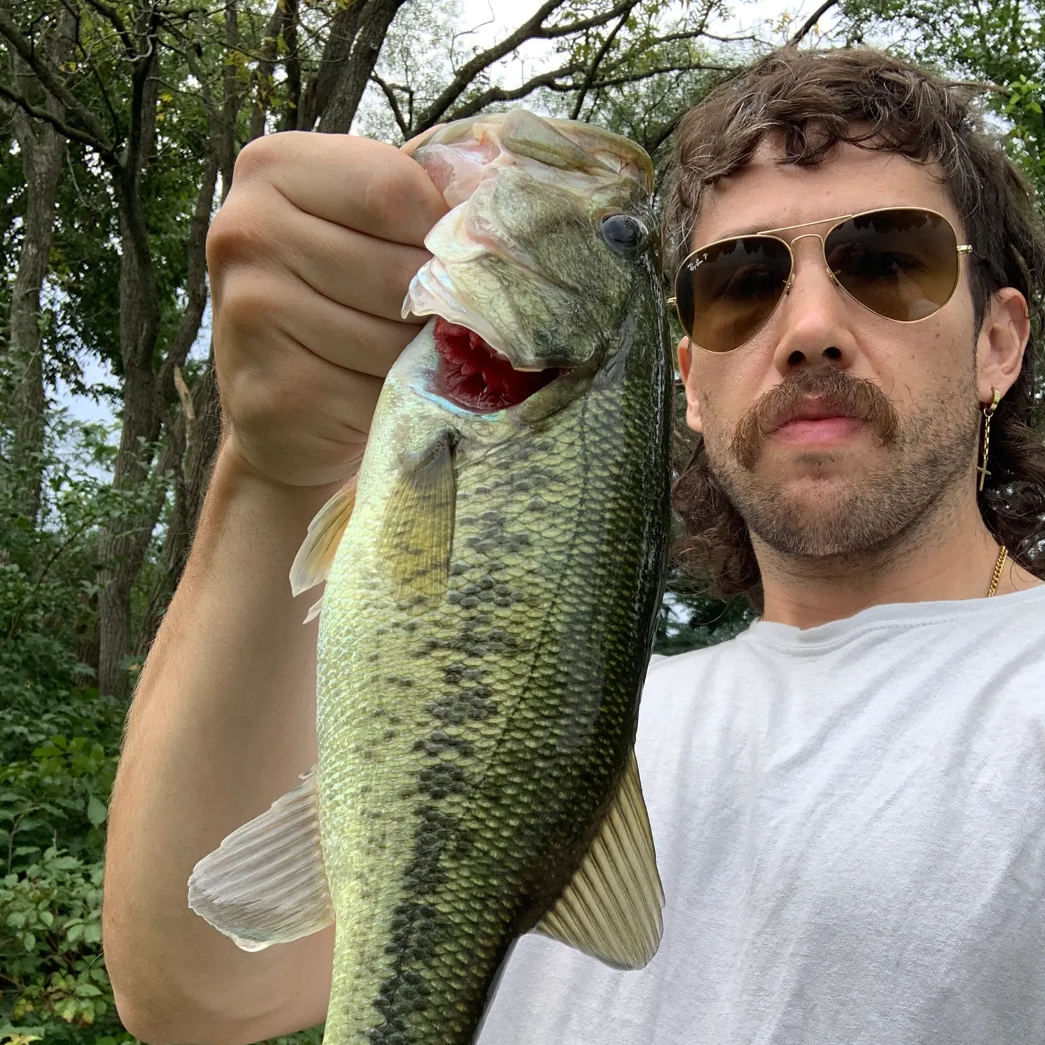 Largemouth bass caught on Fishbrain