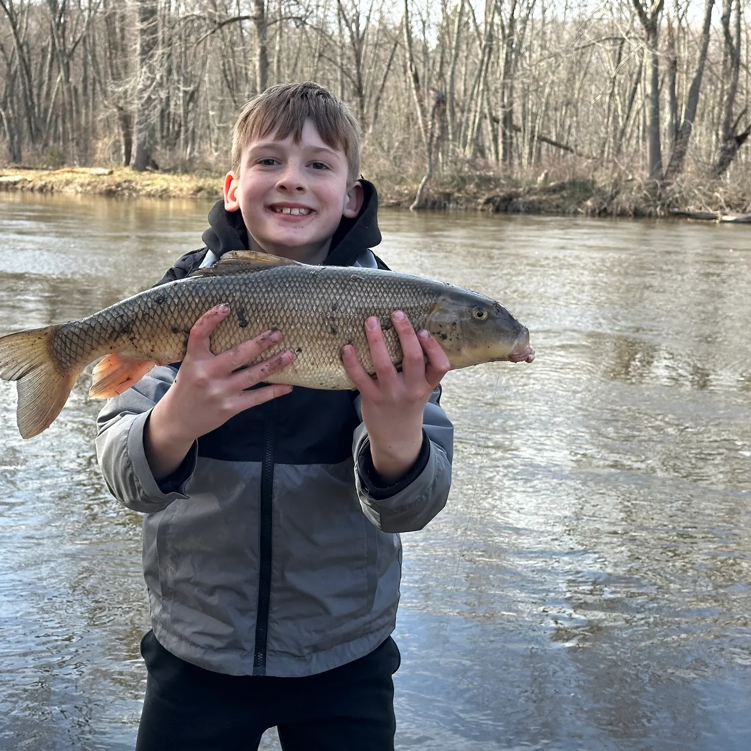 The most recent Golden redhorse catches on Fishbrain