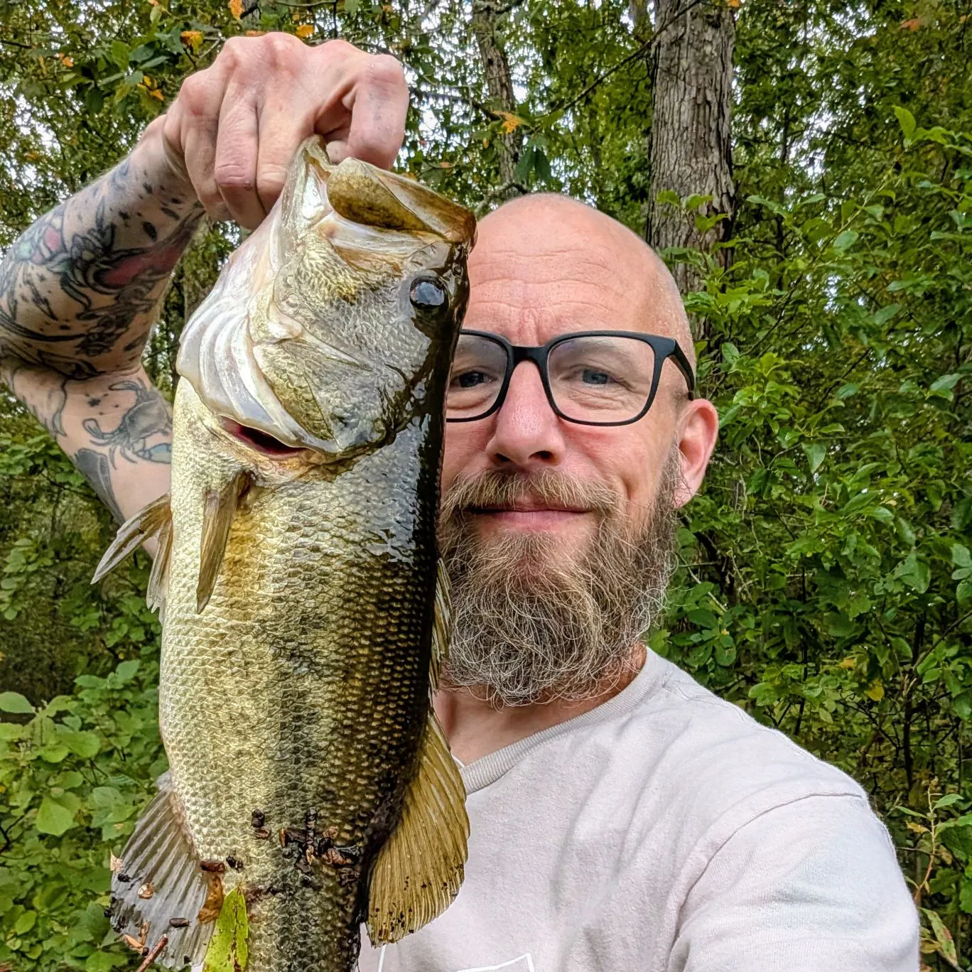 Largemouth bass caught on Fishbrain