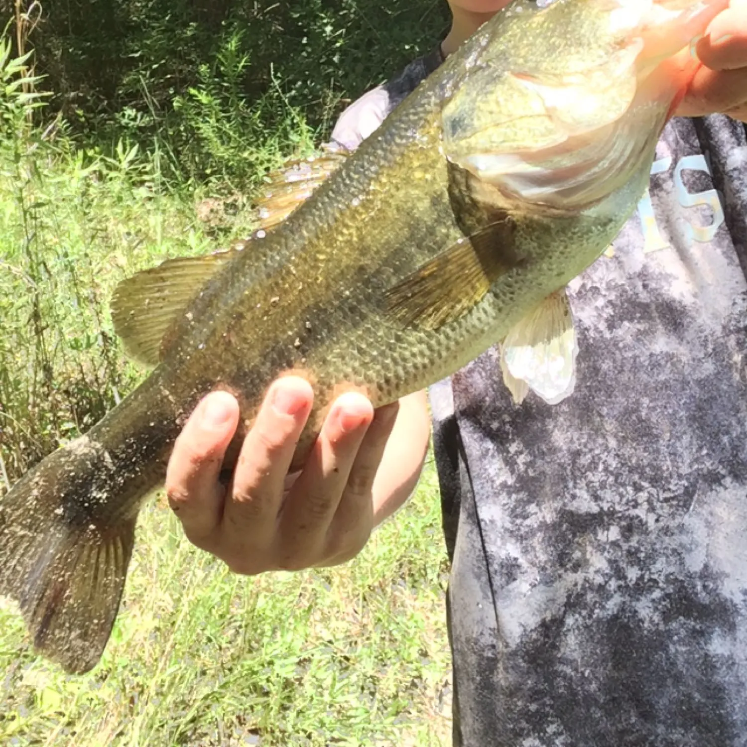 angler catch