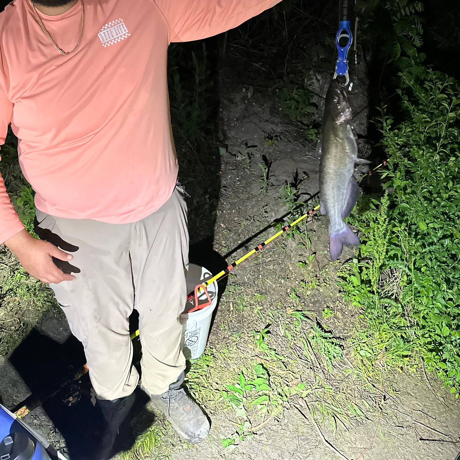 catch