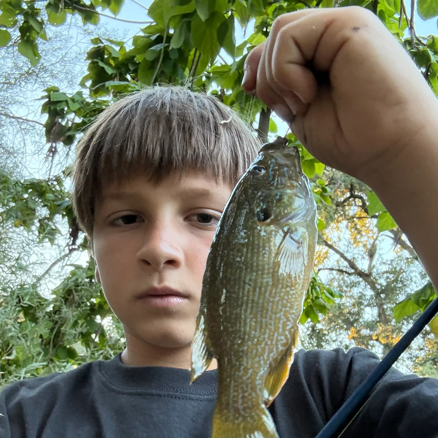 Fish caught on Fishbrain