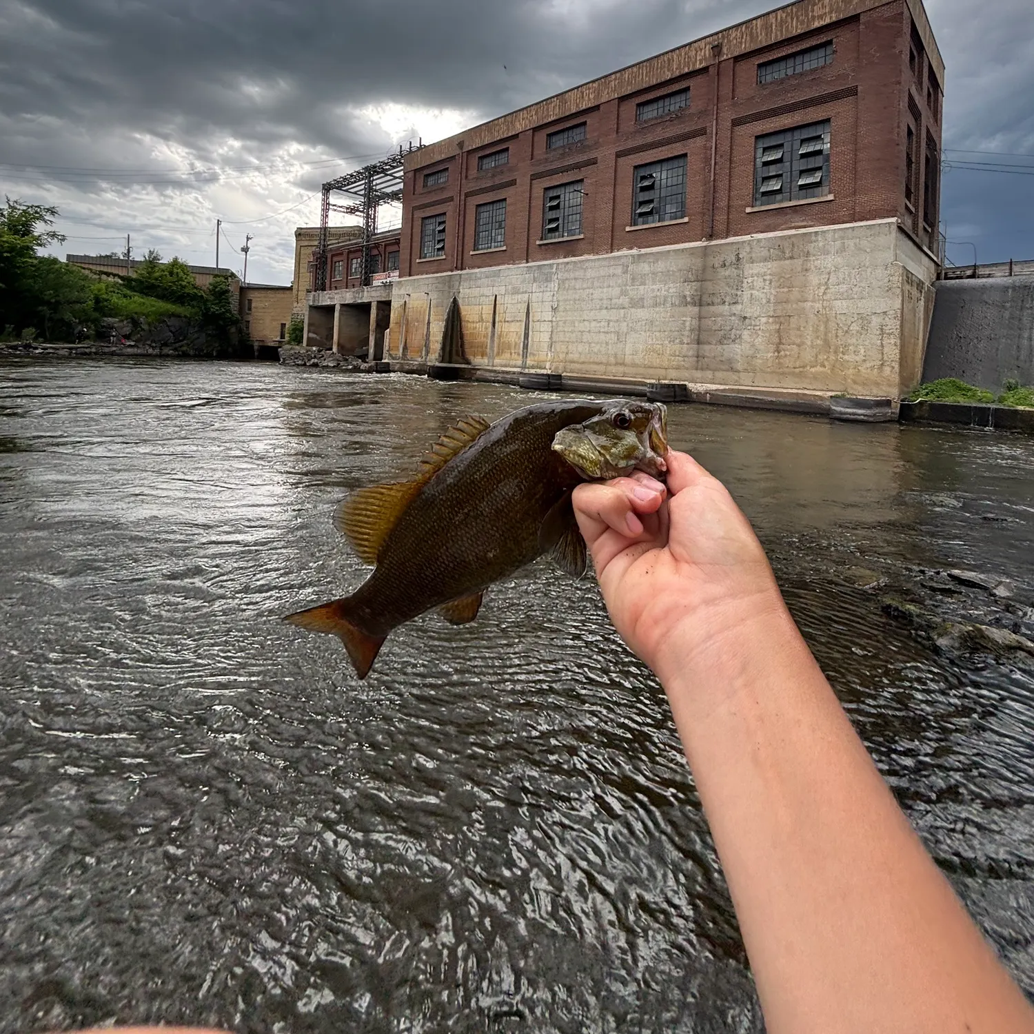 catch