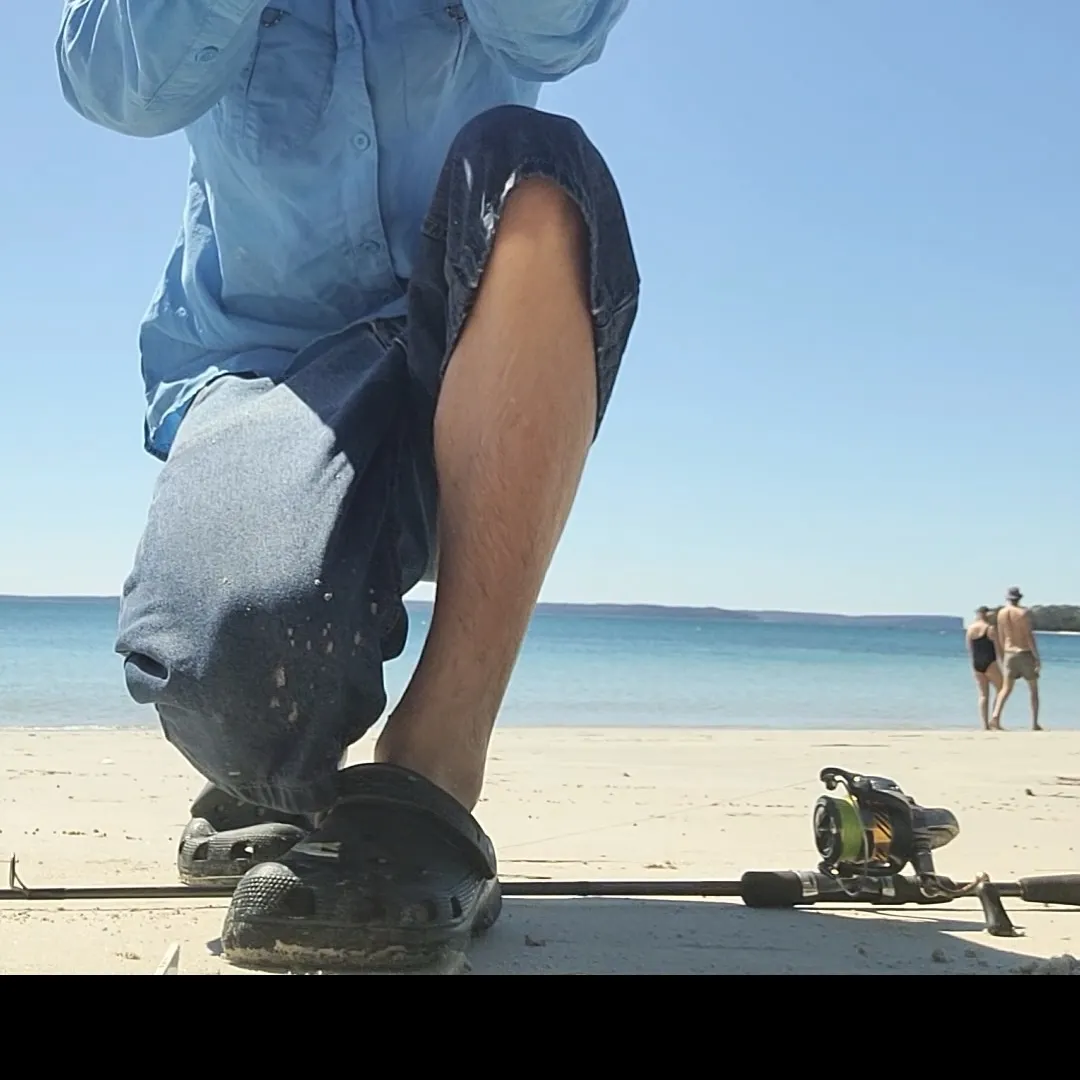 The most recent Dusky flathead catches on Fishbrain