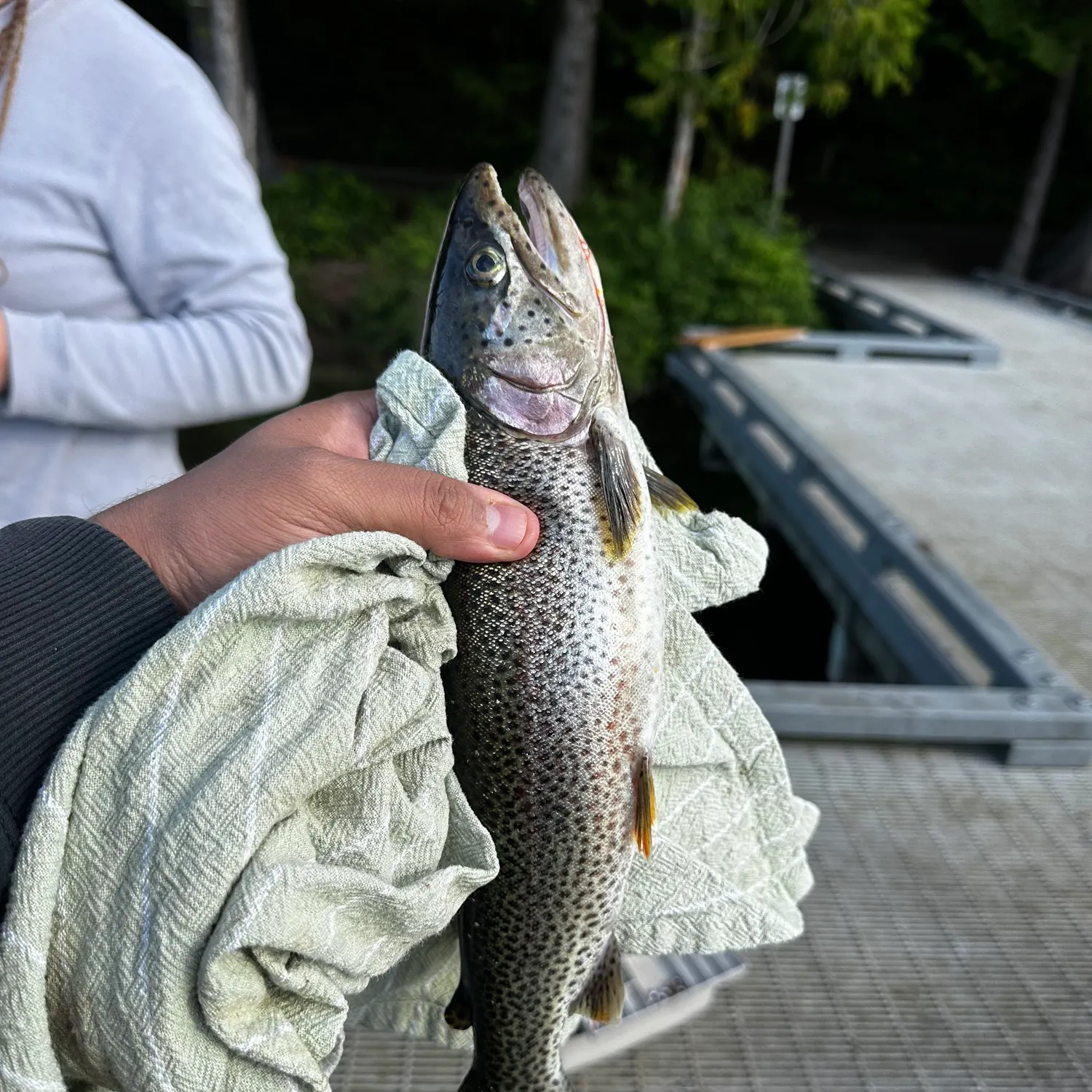 catch