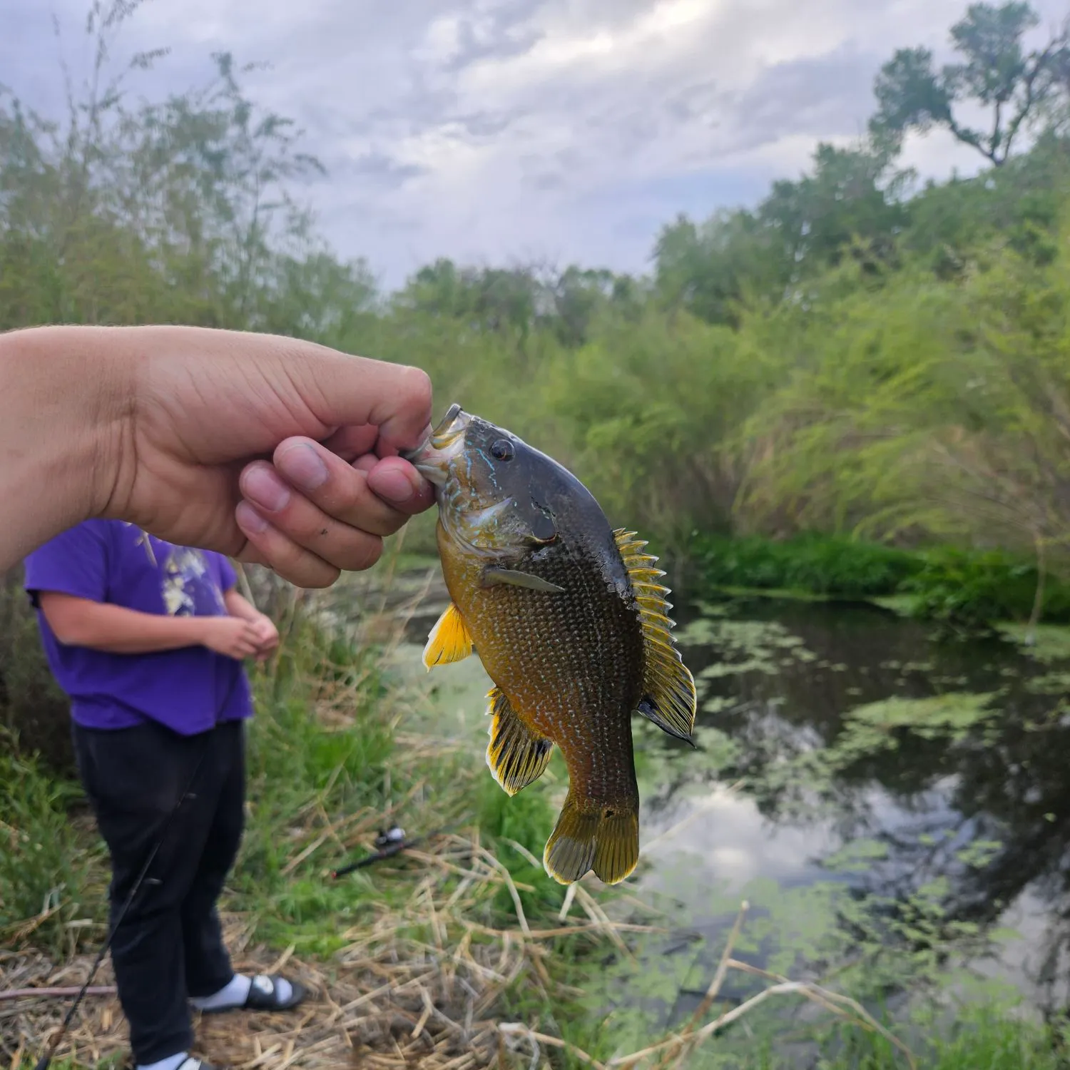 catch
