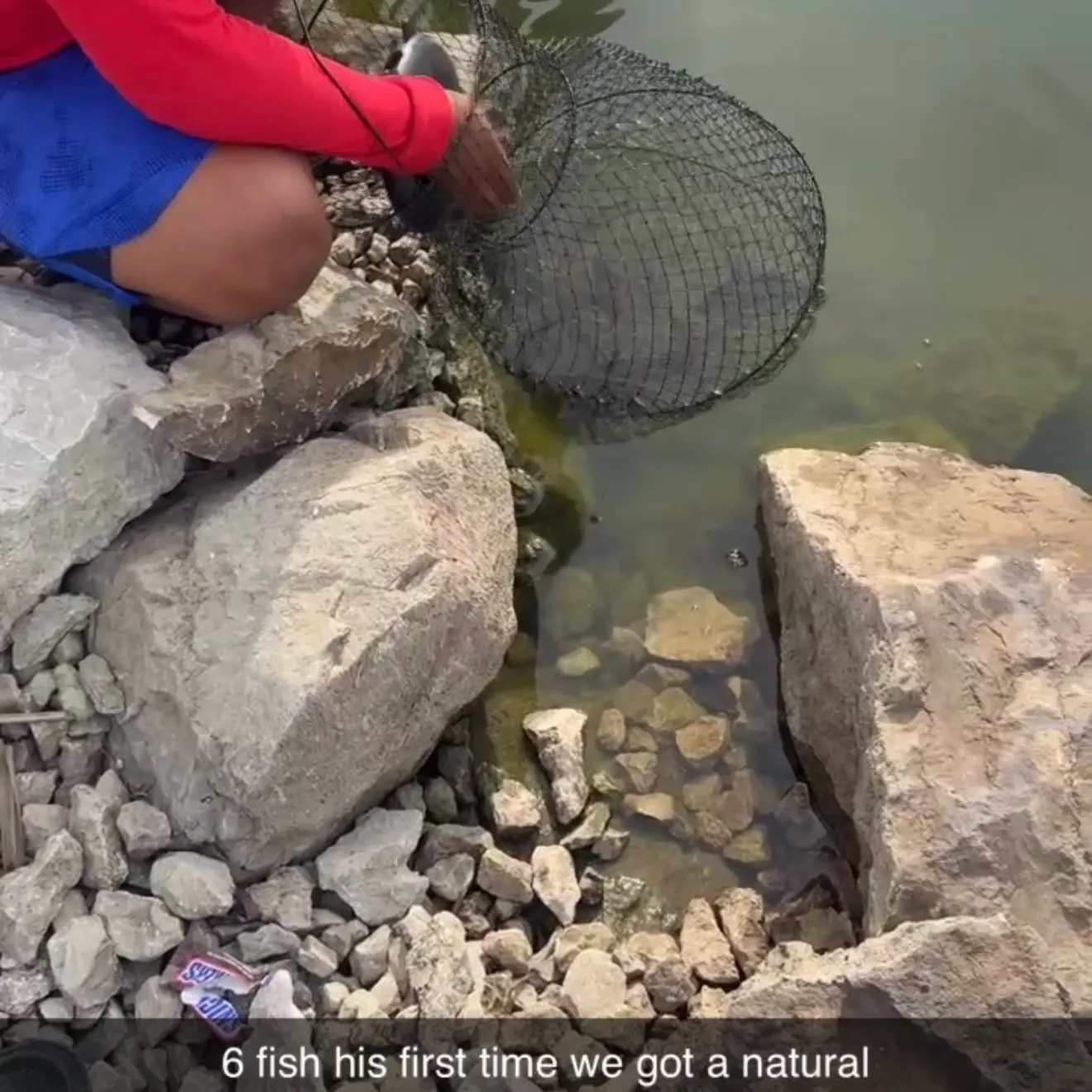 The most recent Bluegill catches on Fishbrain