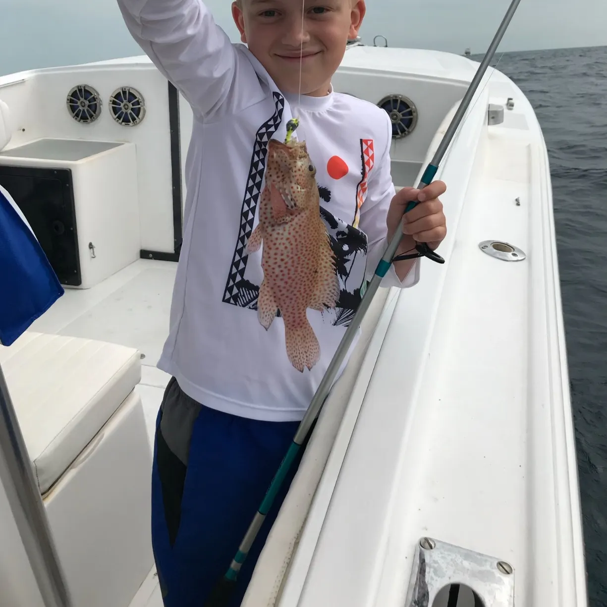 The most recent Greasy grouper catches on Fishbrain