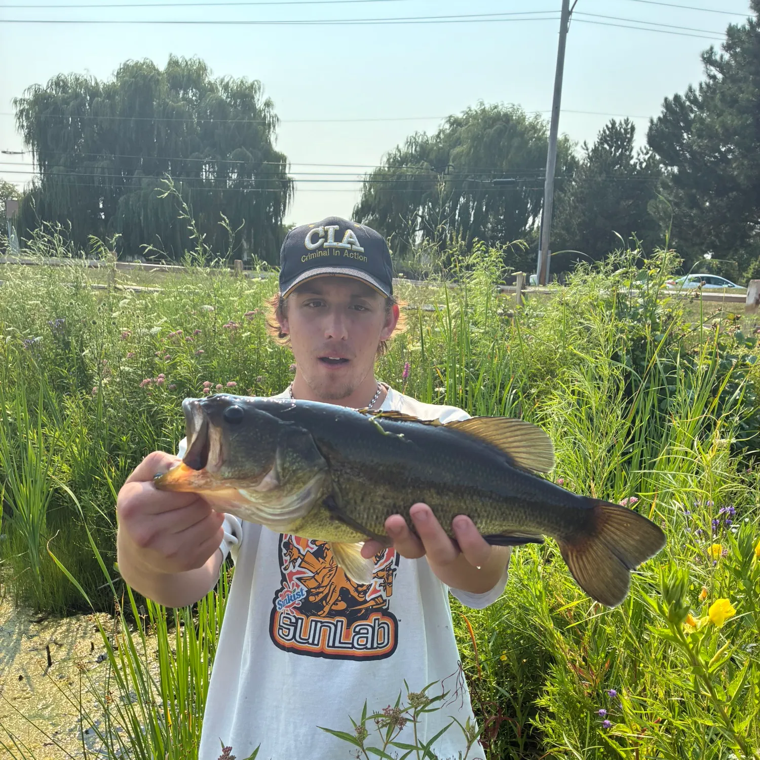 catch