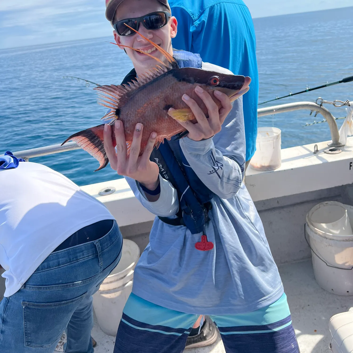 The most recent Hogfish catches on Fishbrain