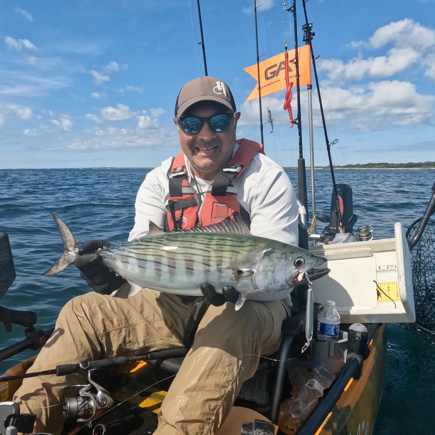 Atlantic bonito caught on Fishbrain