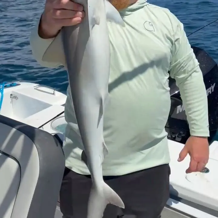 Atlantic sharpnose shark caught on Fishbrain