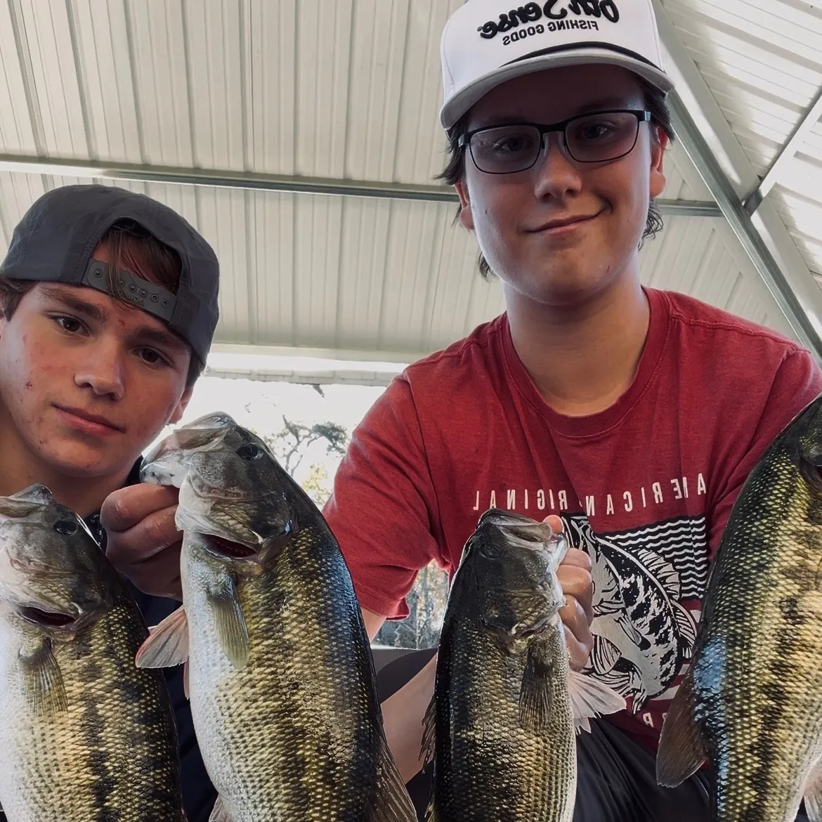 The most recent Alabama bass catches on Fishbrain