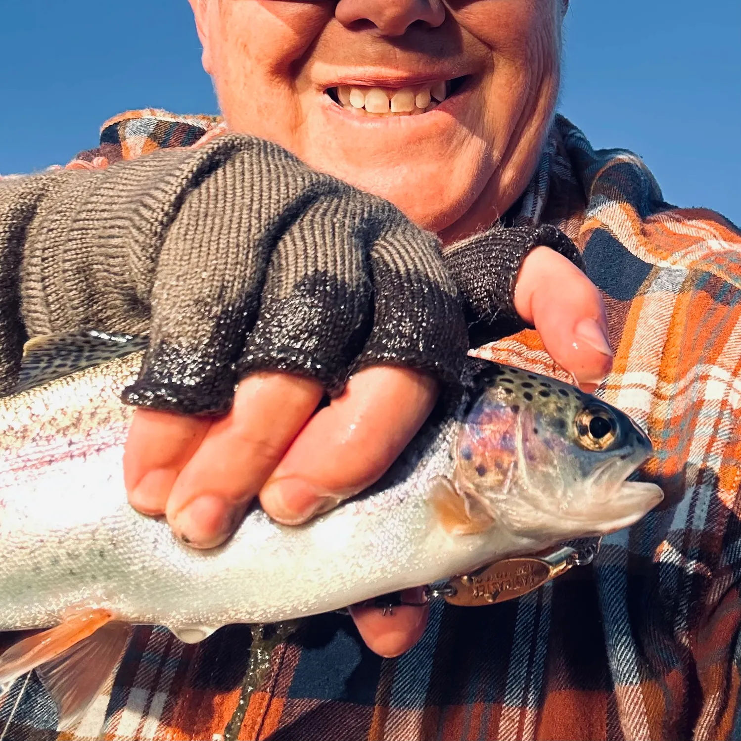 The most recent Rainbow trout catches on Fishbrain